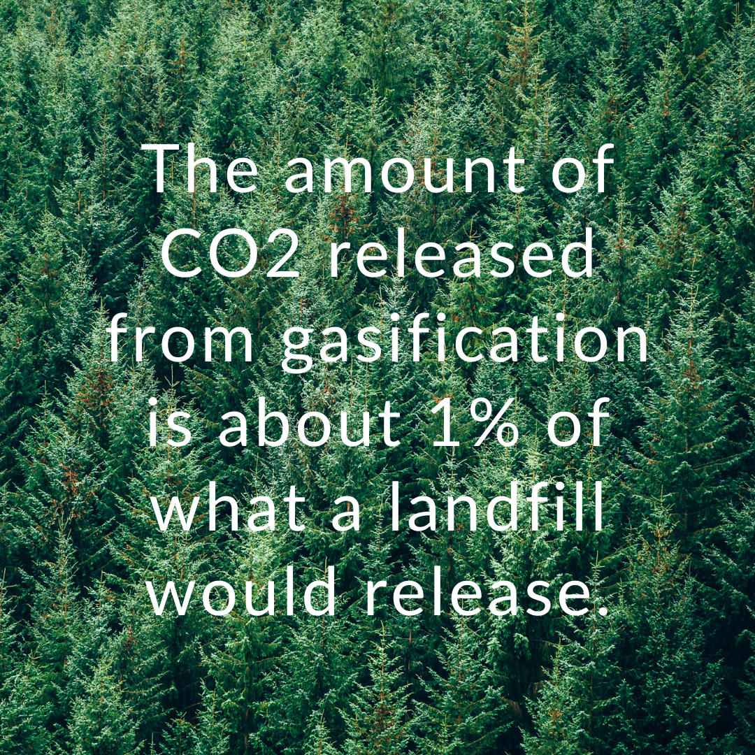 Gasification CO2 quote.png
