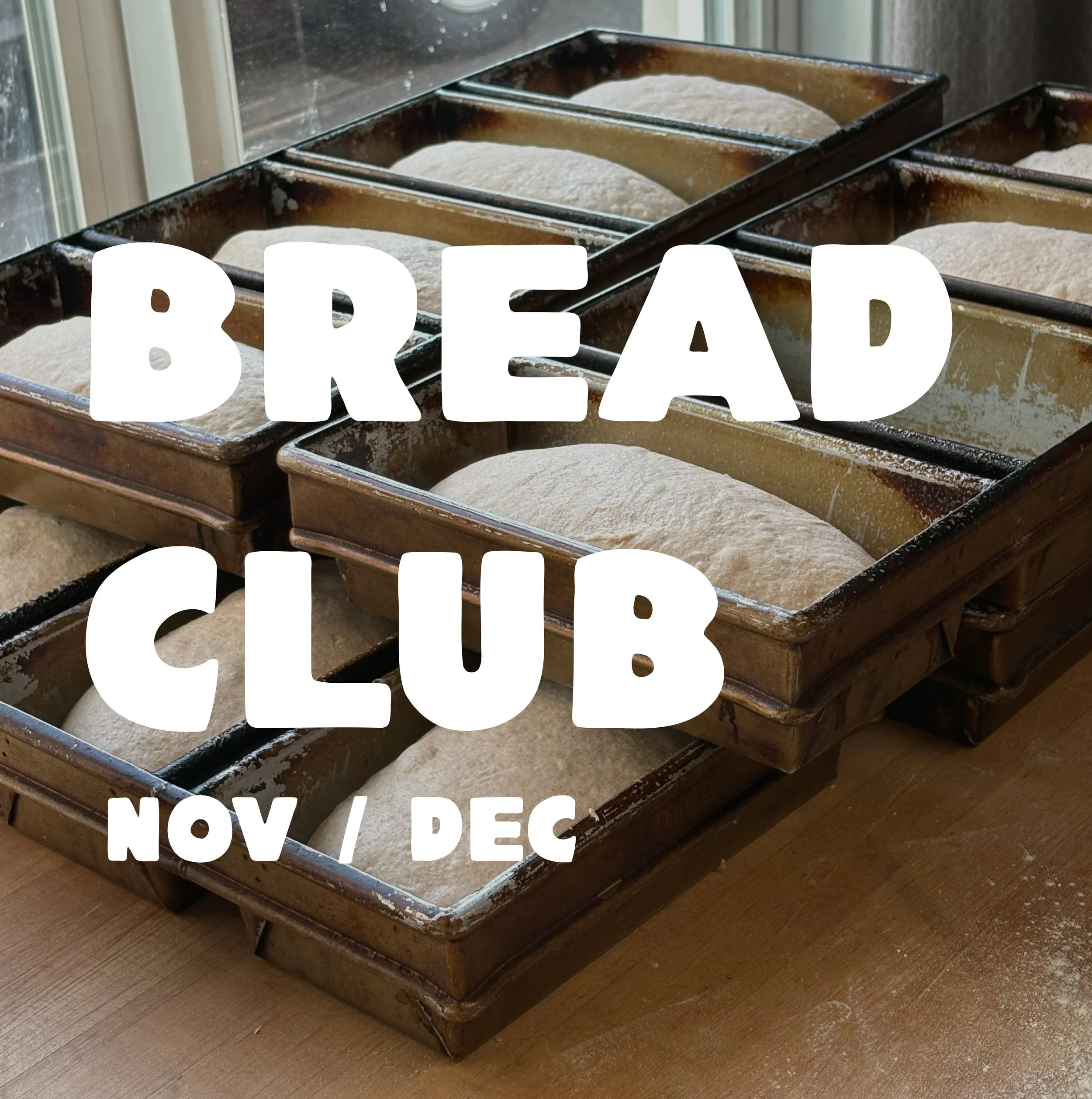 Website_Bread Club.jpg