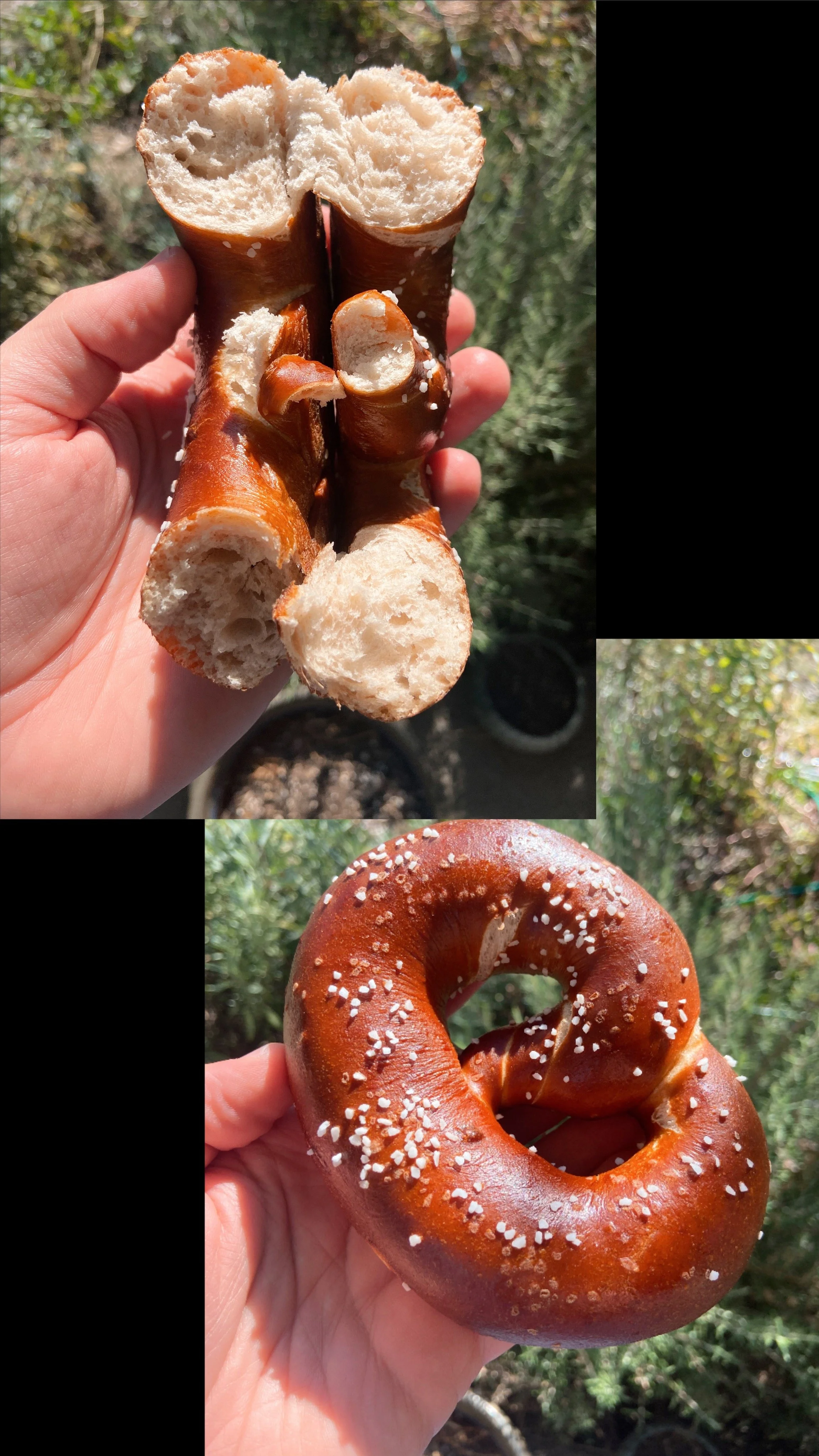 Pretzels - Saturday 10/3