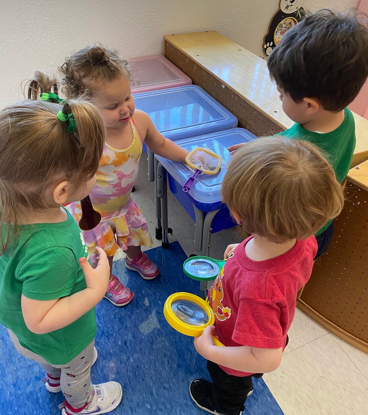 We welcomed TWO new friends in Playgroup (1s) this week and we couldn&rsquo;t be happier!! They had a blast on a scavenger hunt, coloring and during story time today! 
.
.
#betshira #betshiracongregation #buildingcommunity #miami #pinecrest #palmetto