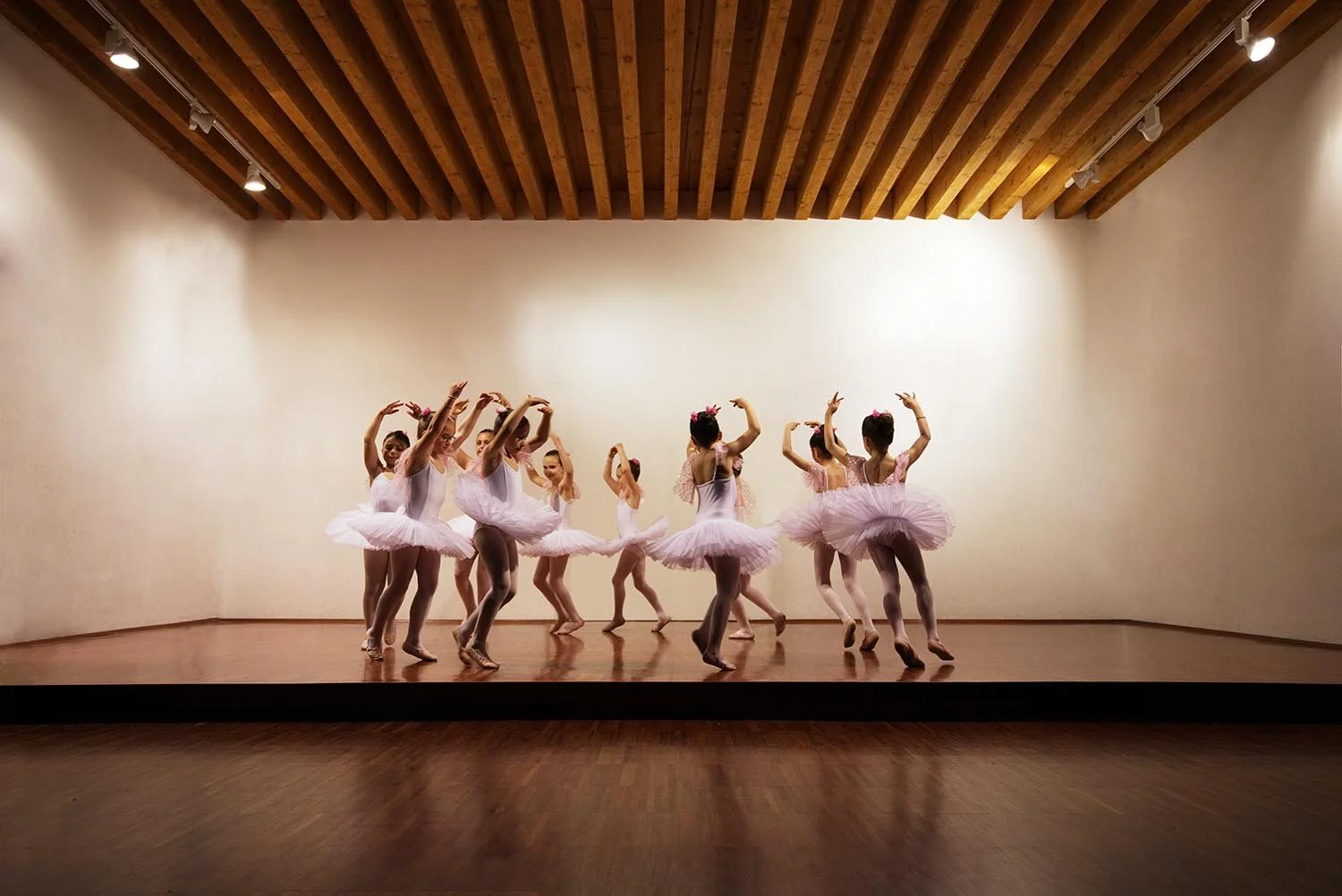 Ballet: A School for Life