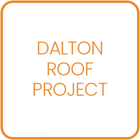 DaltonRoof.png