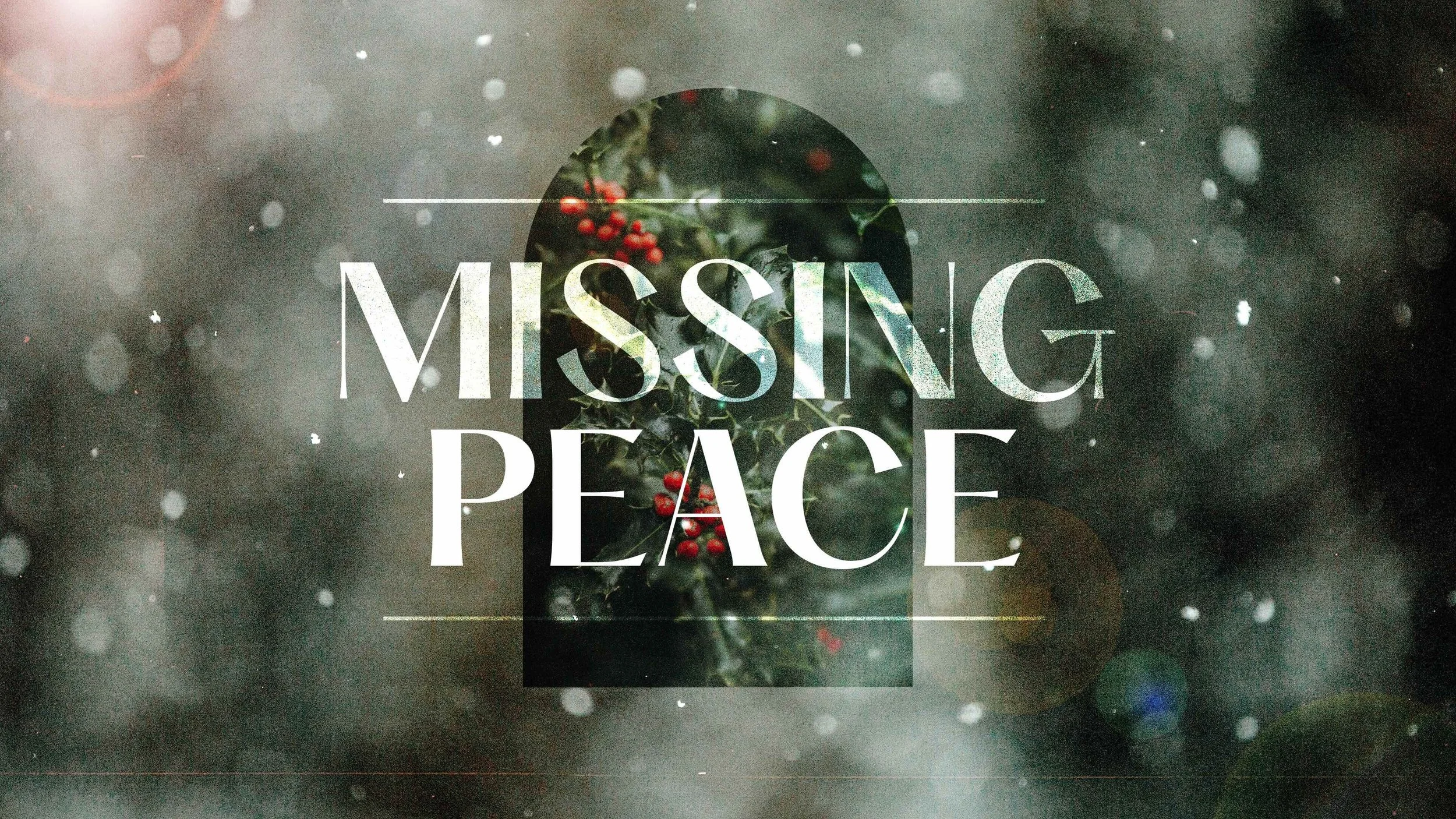 December 22, 2024 - Missing Peace 4