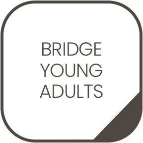 Bridge Access Buttons 3.png