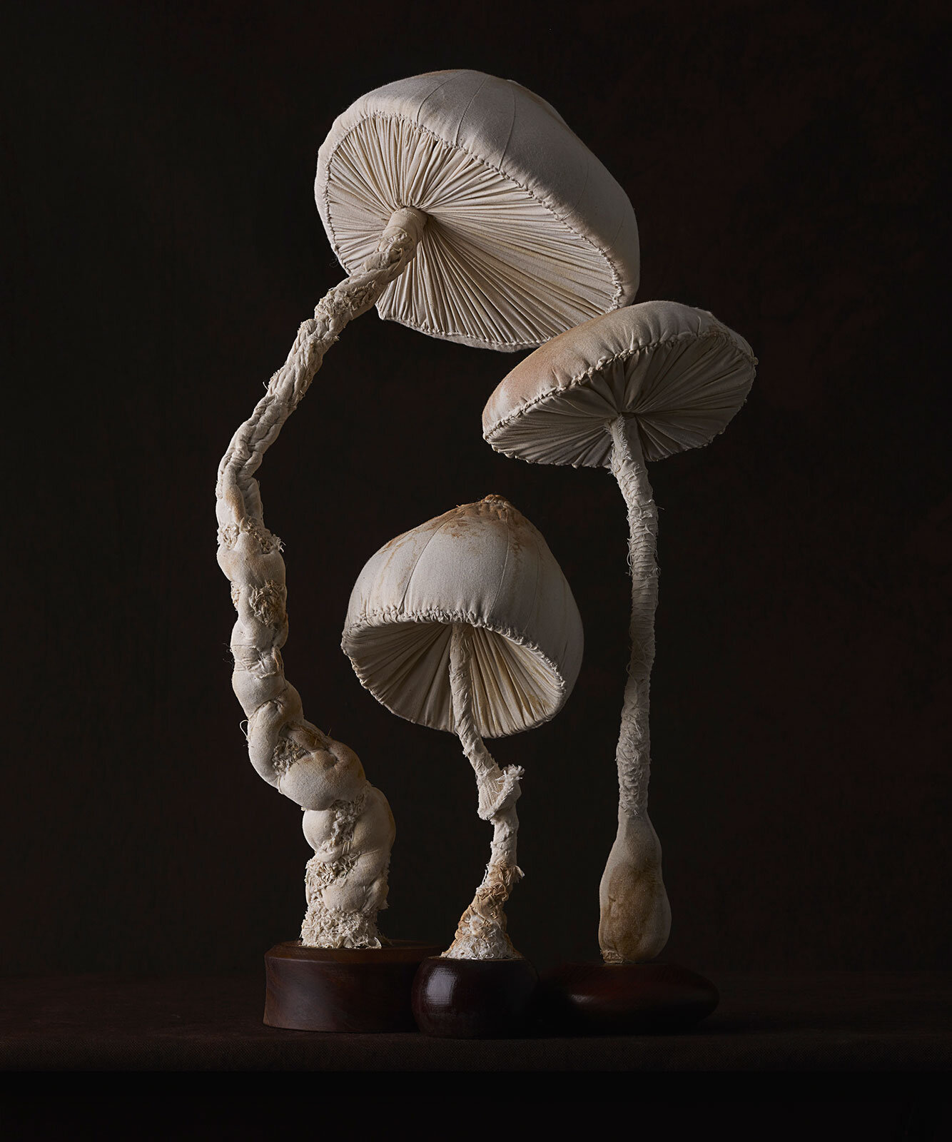 untitled_misterfinchstoadstools_2015_no4_20x24.jpg
