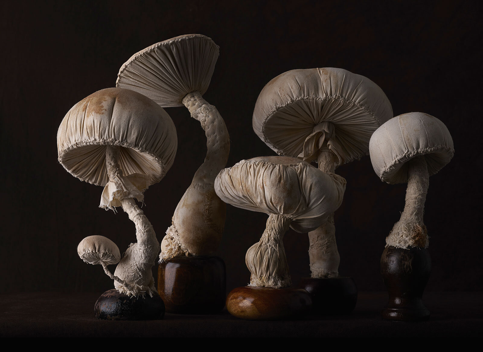 untitled_misterfinchstoadstools_2015_no7_60x43_75.jpg
