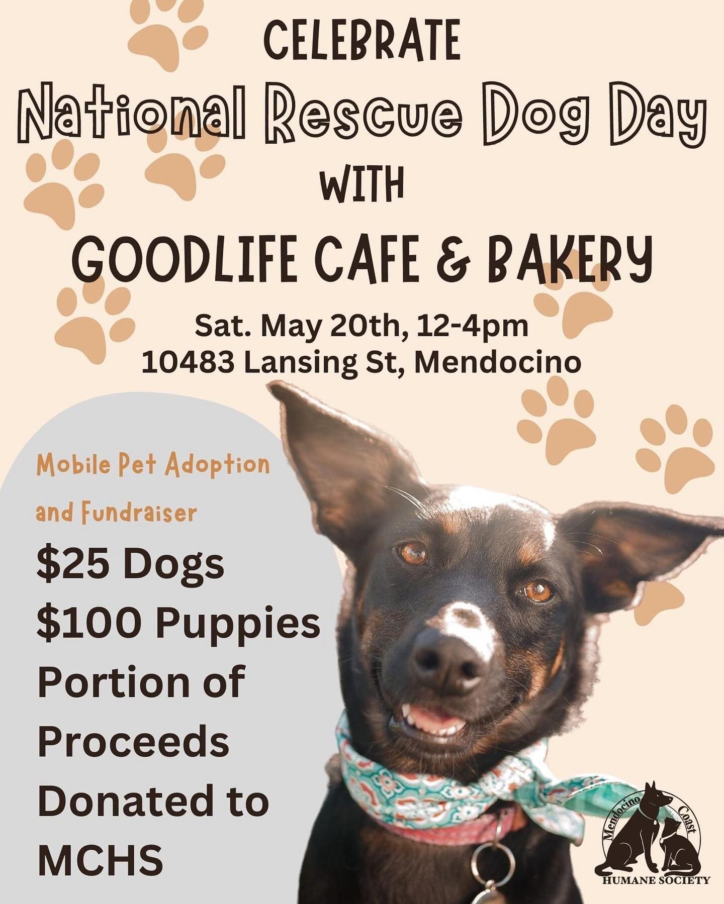 Come and fall in love with a fur baby tomorrow and eat yummy food all at once!! 
.
.
.
.
#nationaladoptashelterpetday #rescuedog #bestdogs #humanesociety #mendocino #community