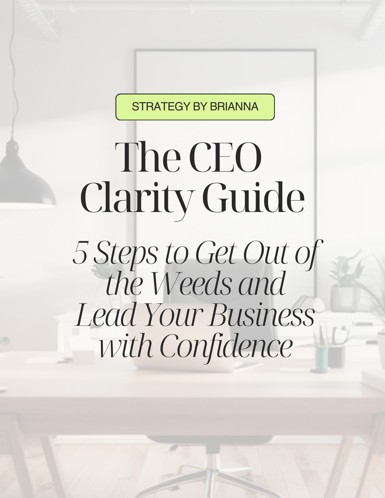 Free Guide: The CEO Clarity Guide for Entrepreneurs | Strategy by Brianna