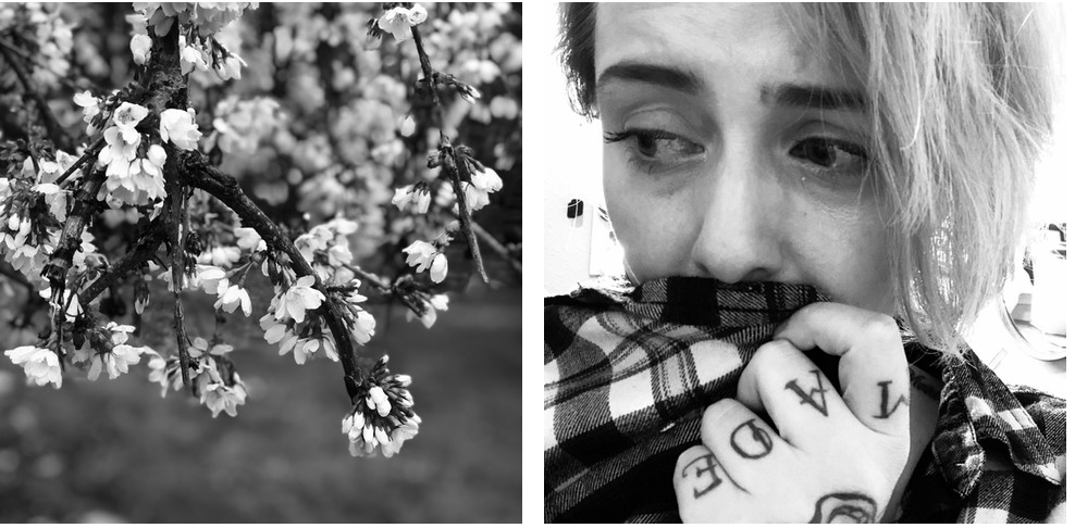 Screen Shot 2020-05-18 at 5.13.49 PM.png