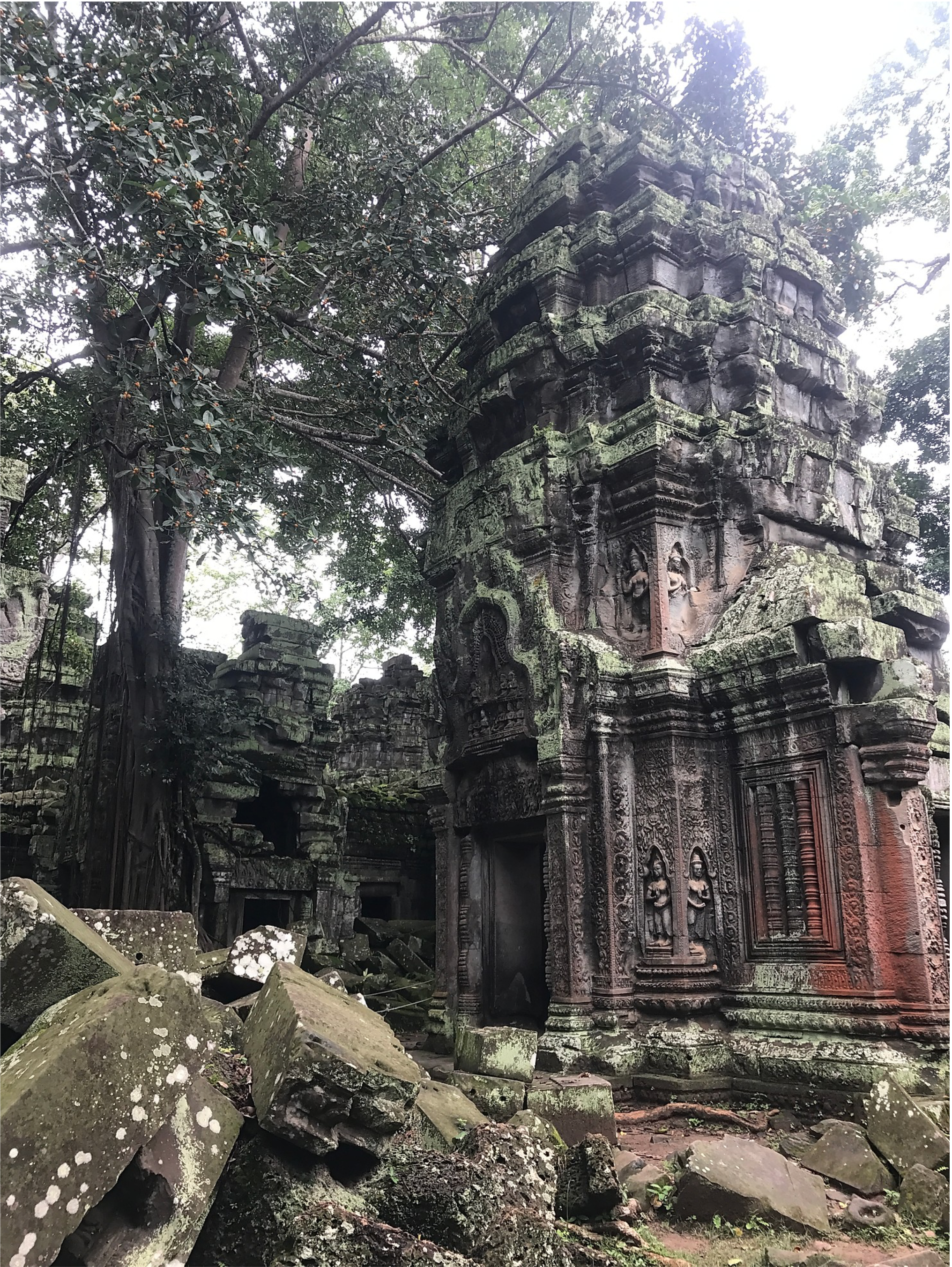 Screen Shot 2020-05-18 at 6.37.45 PM.png