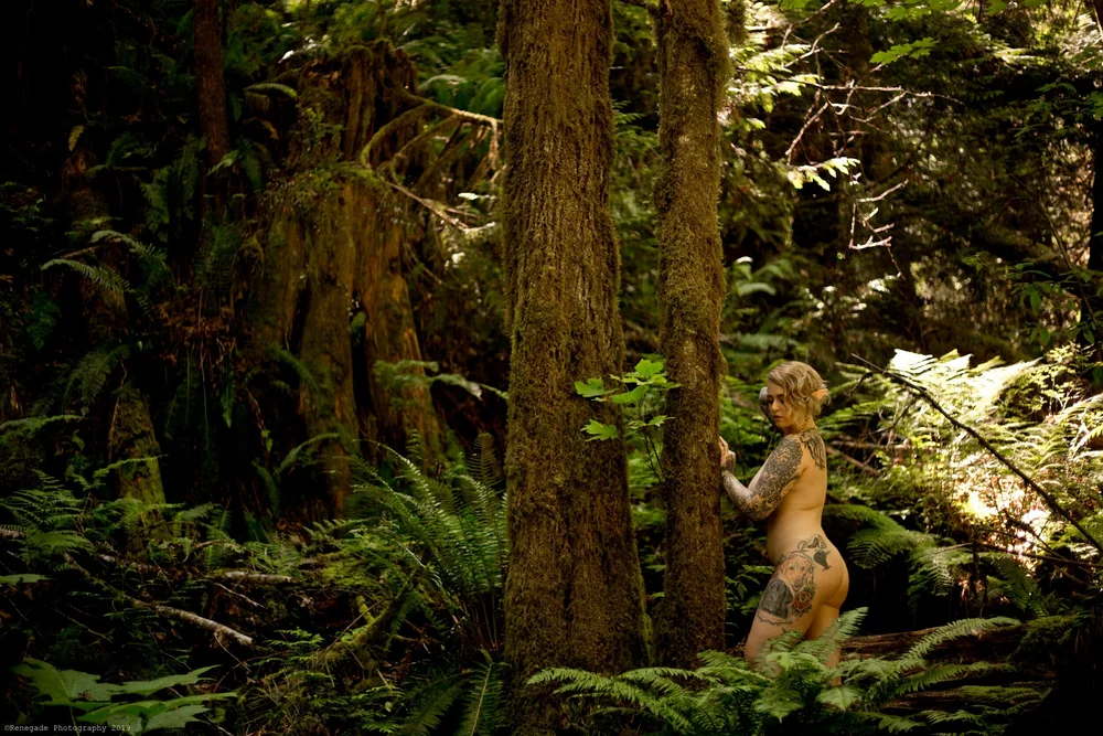 Photo by Chris Curtiss