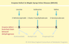 Msud Overview Maple Syrup Urine Disease (MSUD) — New England Consortium of Metabolic ...