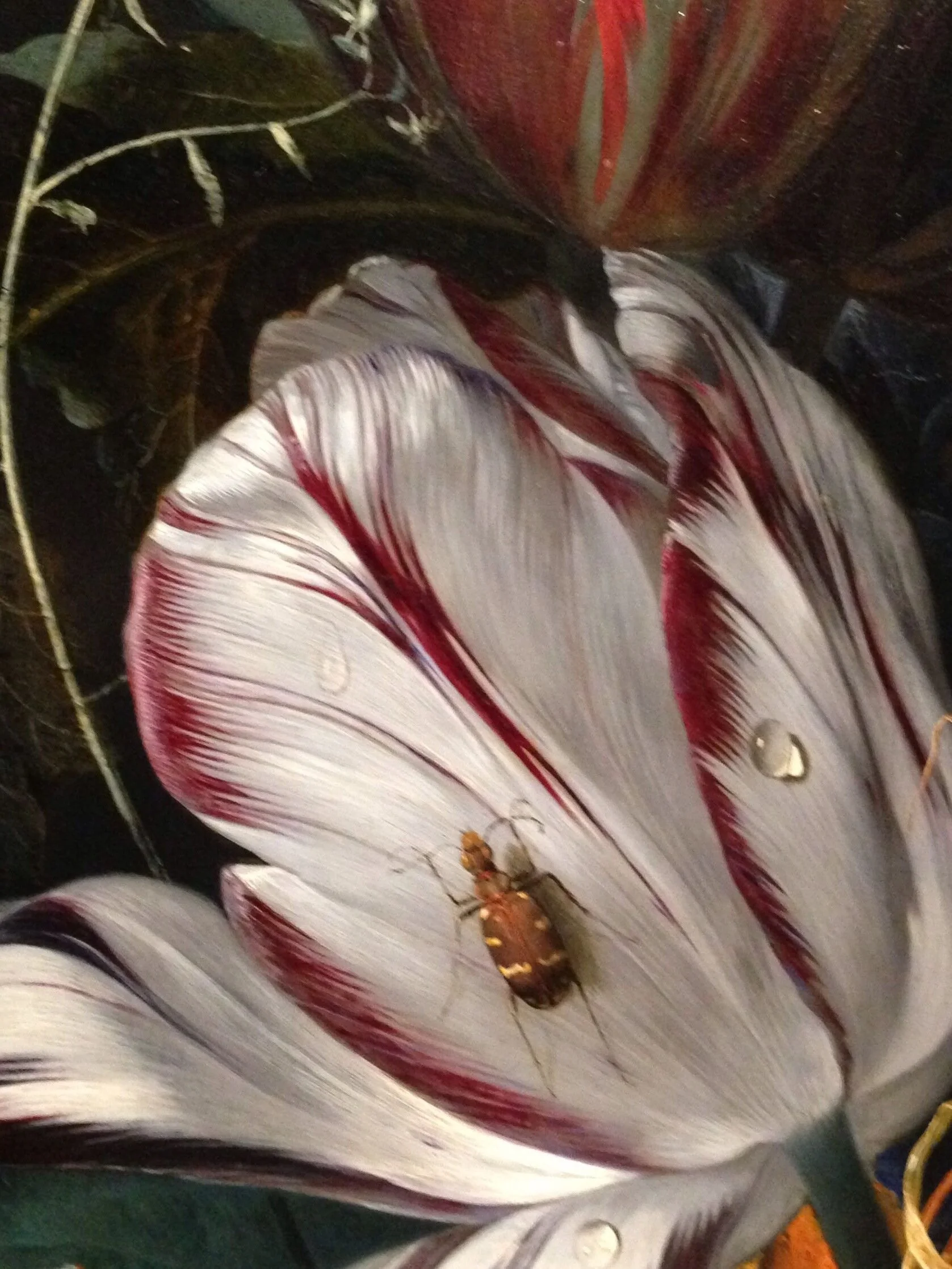 A Closer Look at a Masterpiece