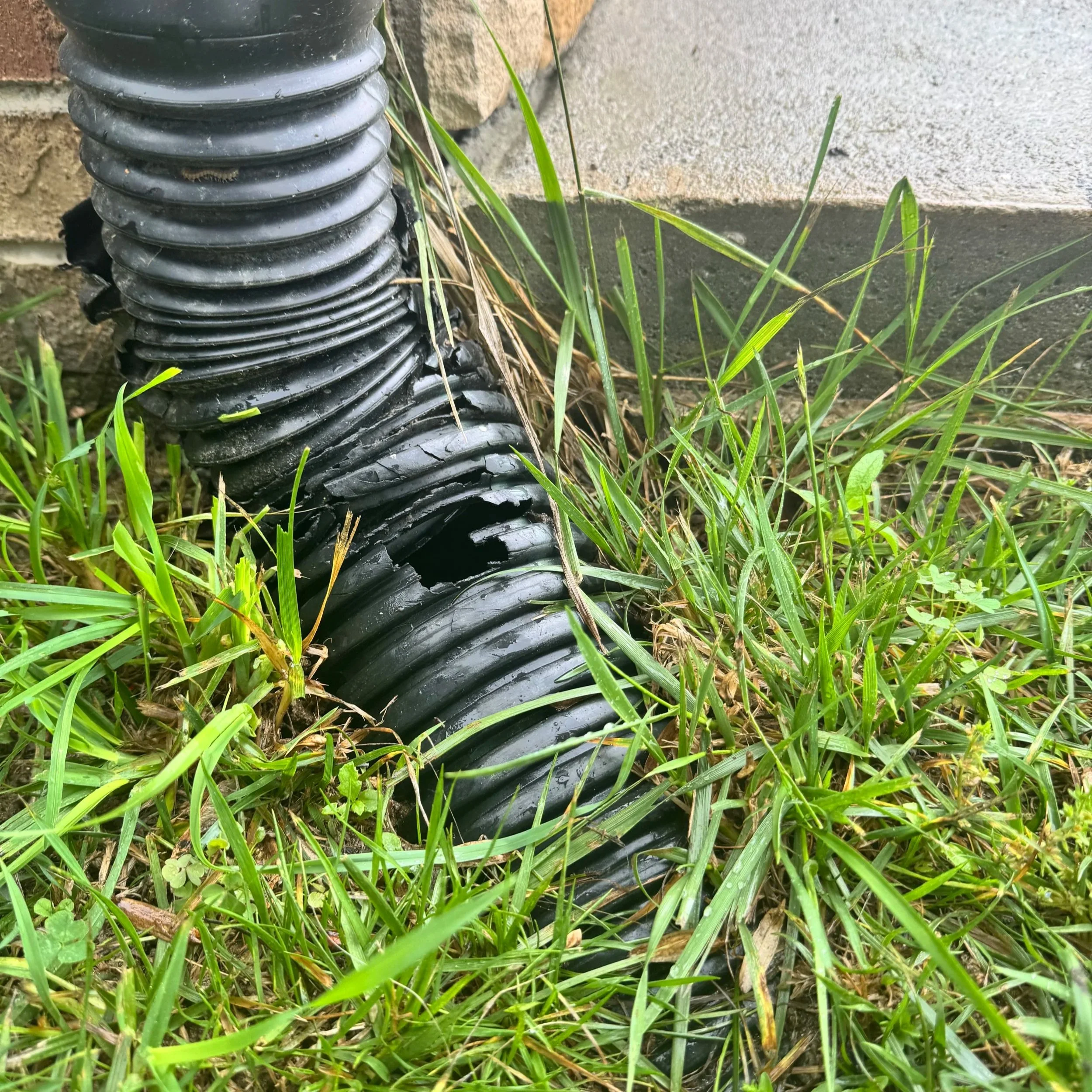 Downspouts that discharge too close to the home can create erosion, soggy yards, and foundation moisture.