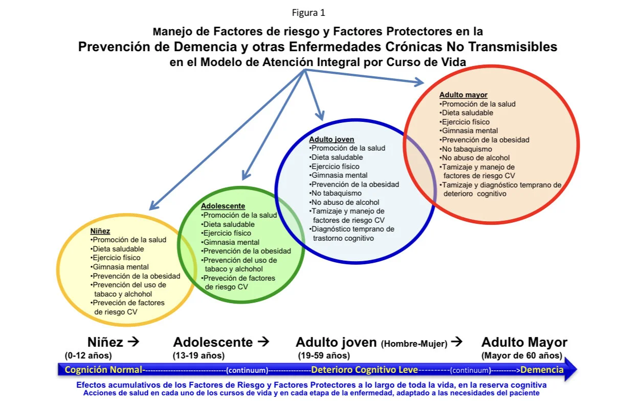 La salud neurológica debe ser una prioridad en nuestro estilo de vida