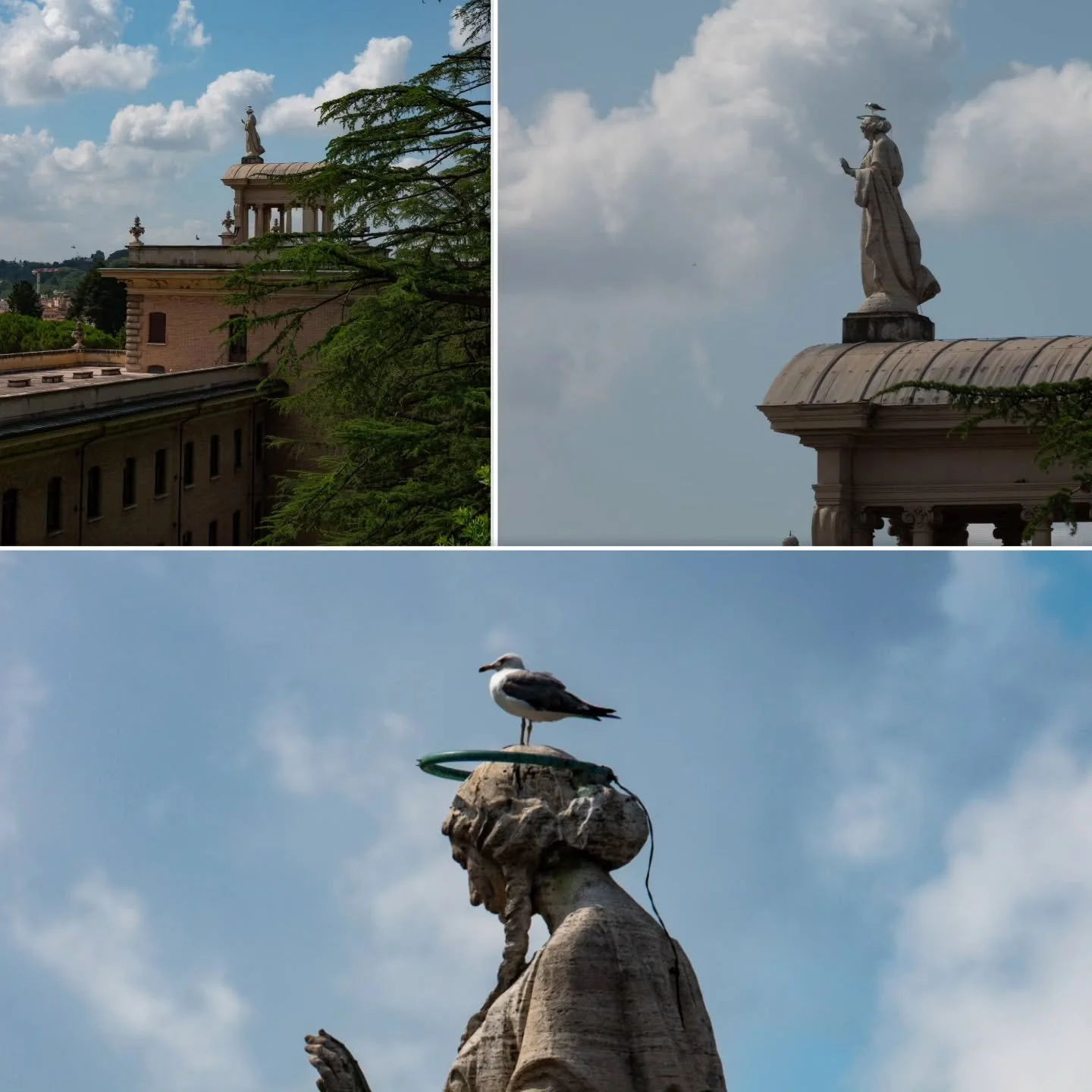 I was wondering what was on top of the statue's head, and indeed it was a seagull.