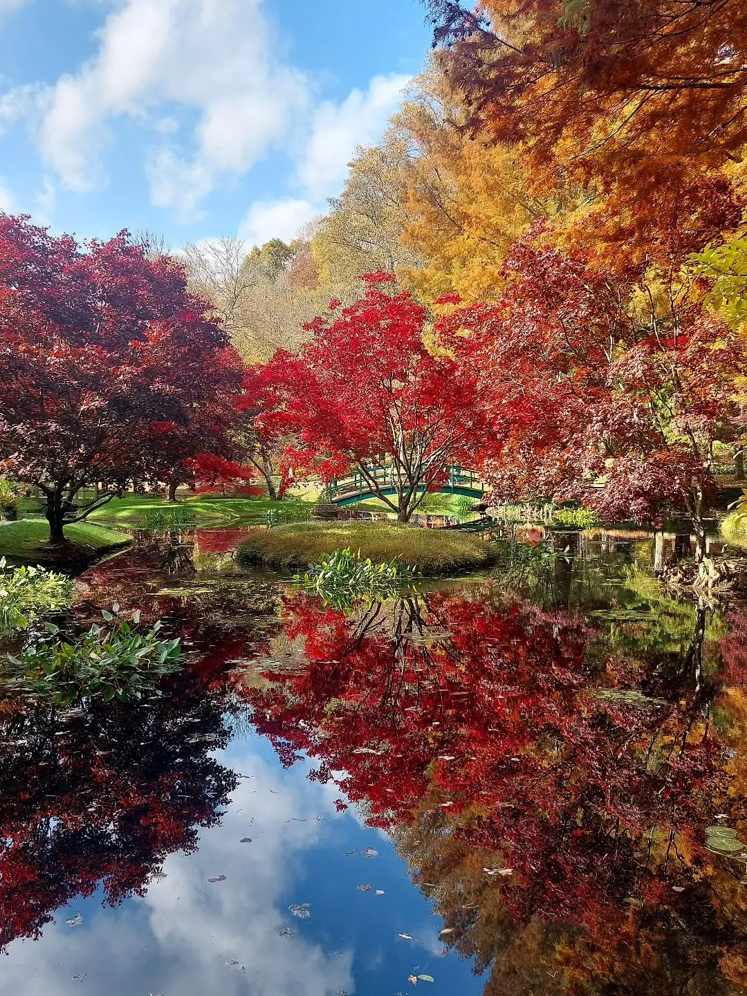 We lucked out with an absolutely perfect day to visit Gibbs Gardens