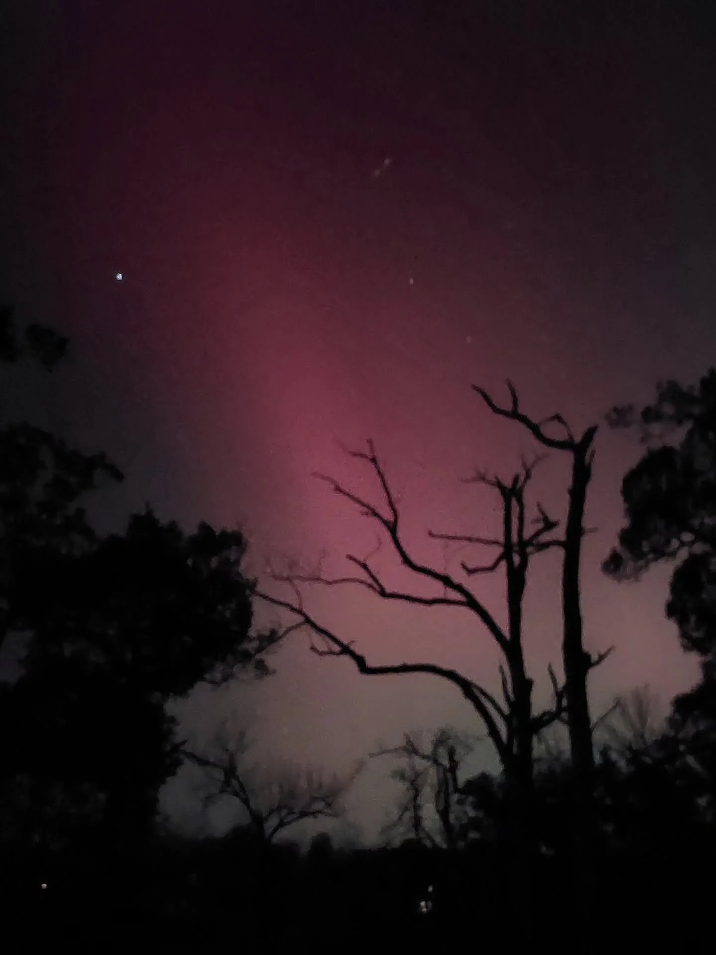 Never seen the northern lights from inside the city of Cedar Raids before