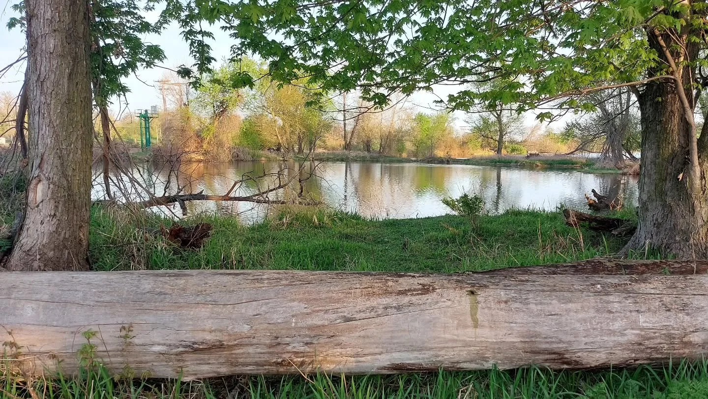 This log brought down by a storm in 2020 makes a nice natural park bench today