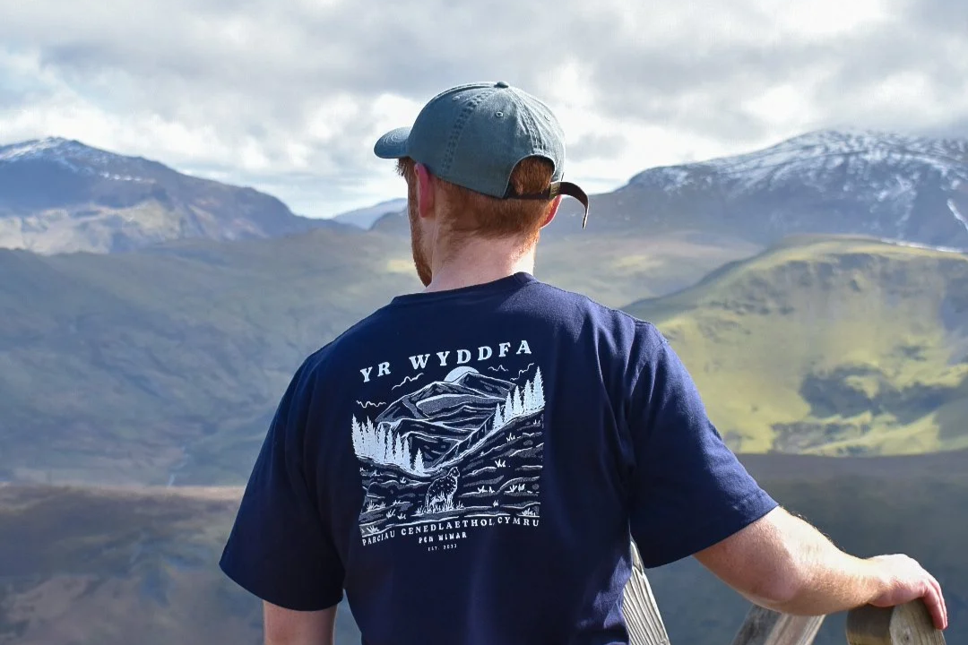 yr+wyddfa_glas.png
