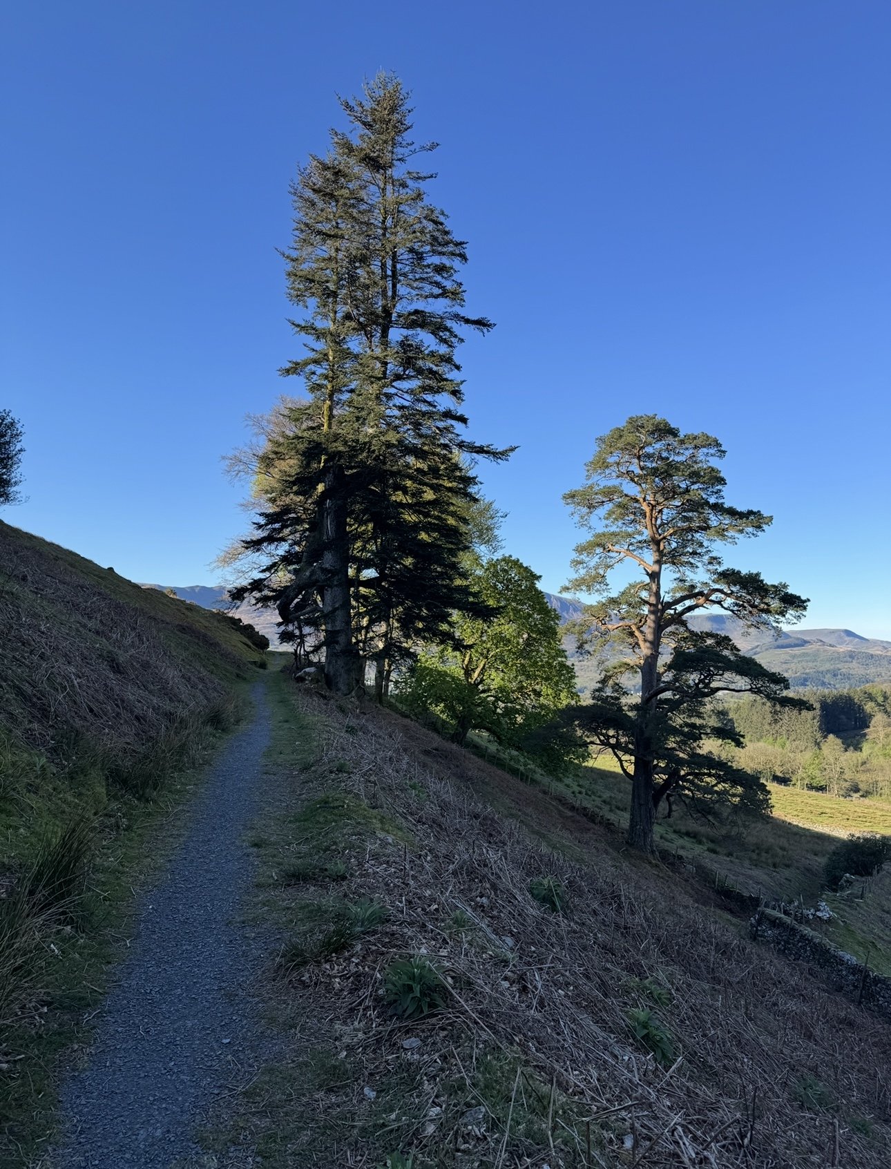 foel offrwm walk.jpg