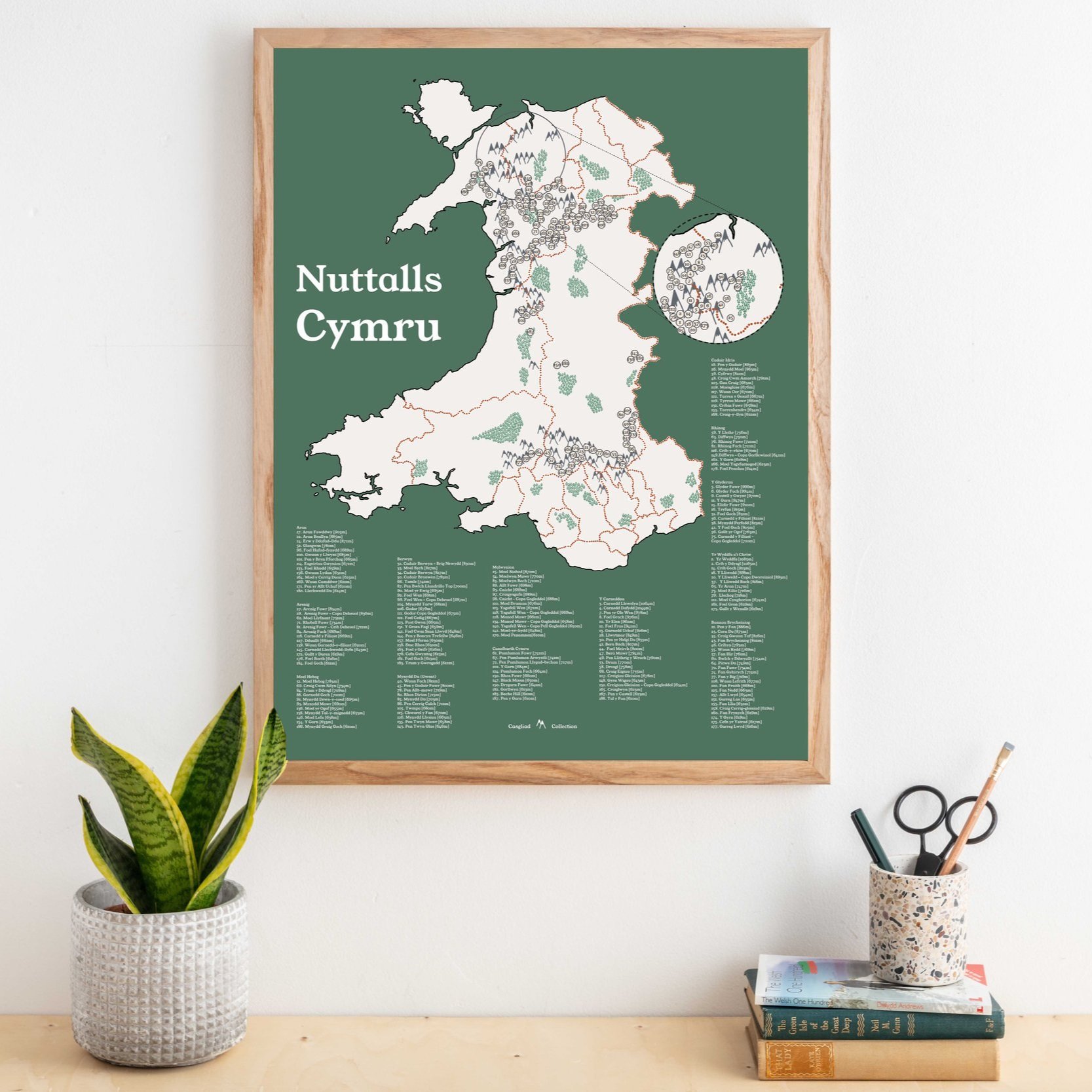 Nuttalls+Cymru+pinboard_soft+launch_gwyrdd+golau.jpg
