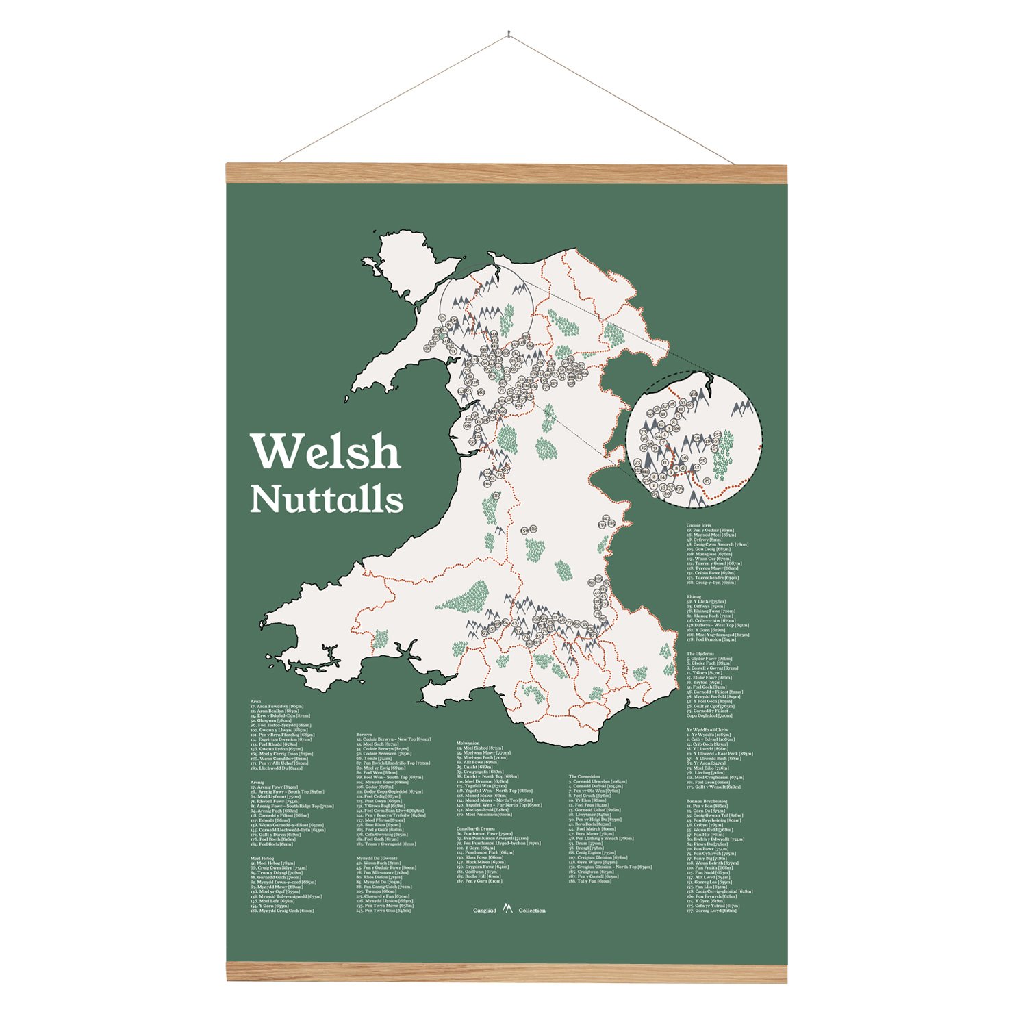 Nuttalls Cymru poster_light green_soft launch.jpg