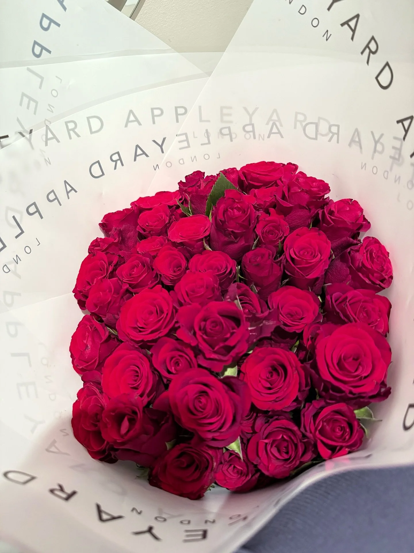 Bits &amp; bobs 🌹🍰🍽️🫟🖌️👠🥂✨