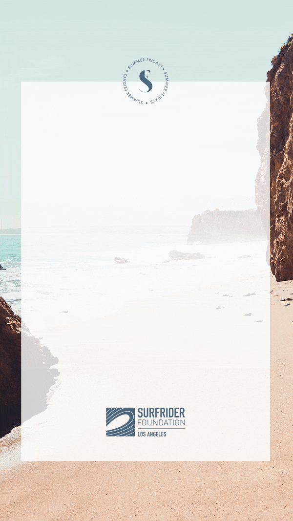Summer-Fridays-Beach-Clean-Up-IG-STORY-Slide-3.gif