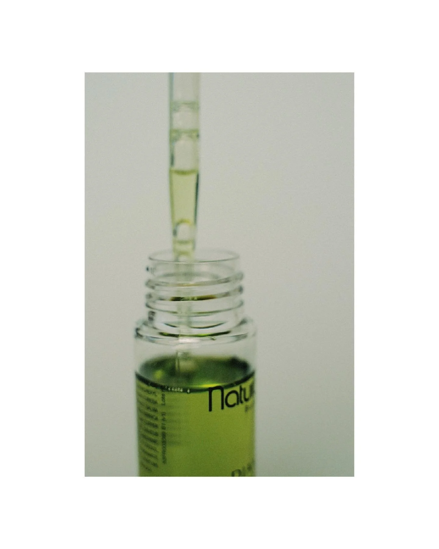 From our studio: @naturabisse 

____________________
#dryoil #barcelona #photography #editorialphotography #skincare #stilllife #detox #naturabisse #artoftheday #seaweed