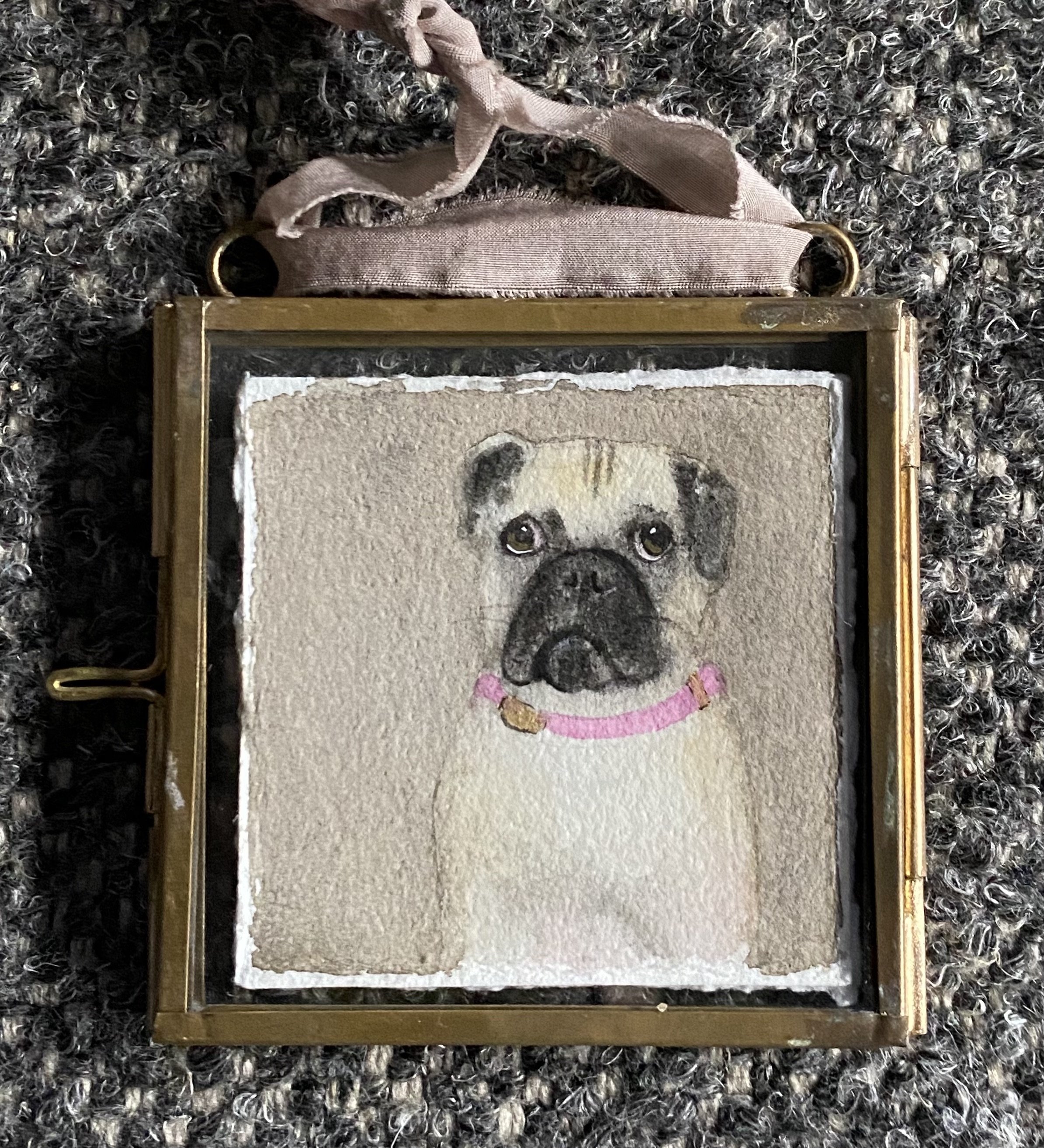 pug.jpg