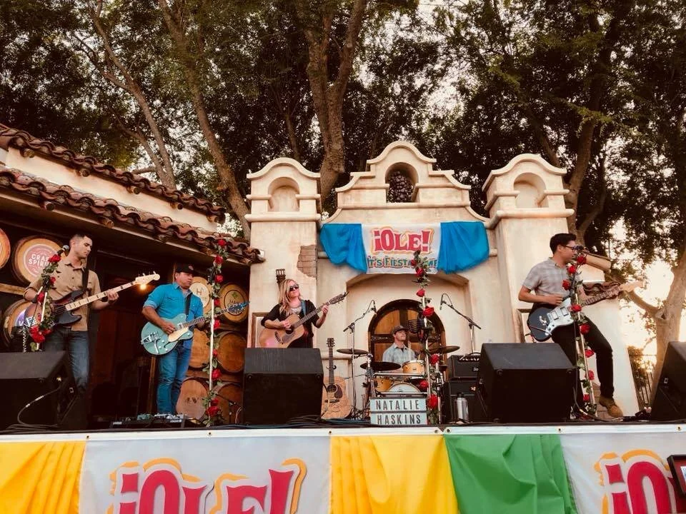 Mid State Fair 4.jpg