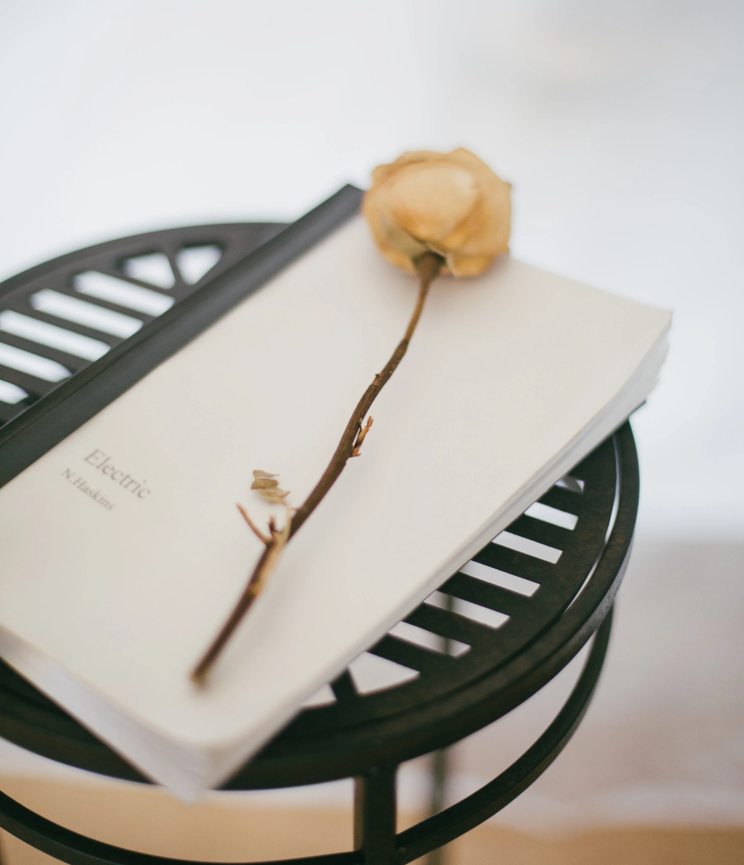 "Electric" photoshoot with Lindsay Ruth Photography, August 2020, Slo, Ca