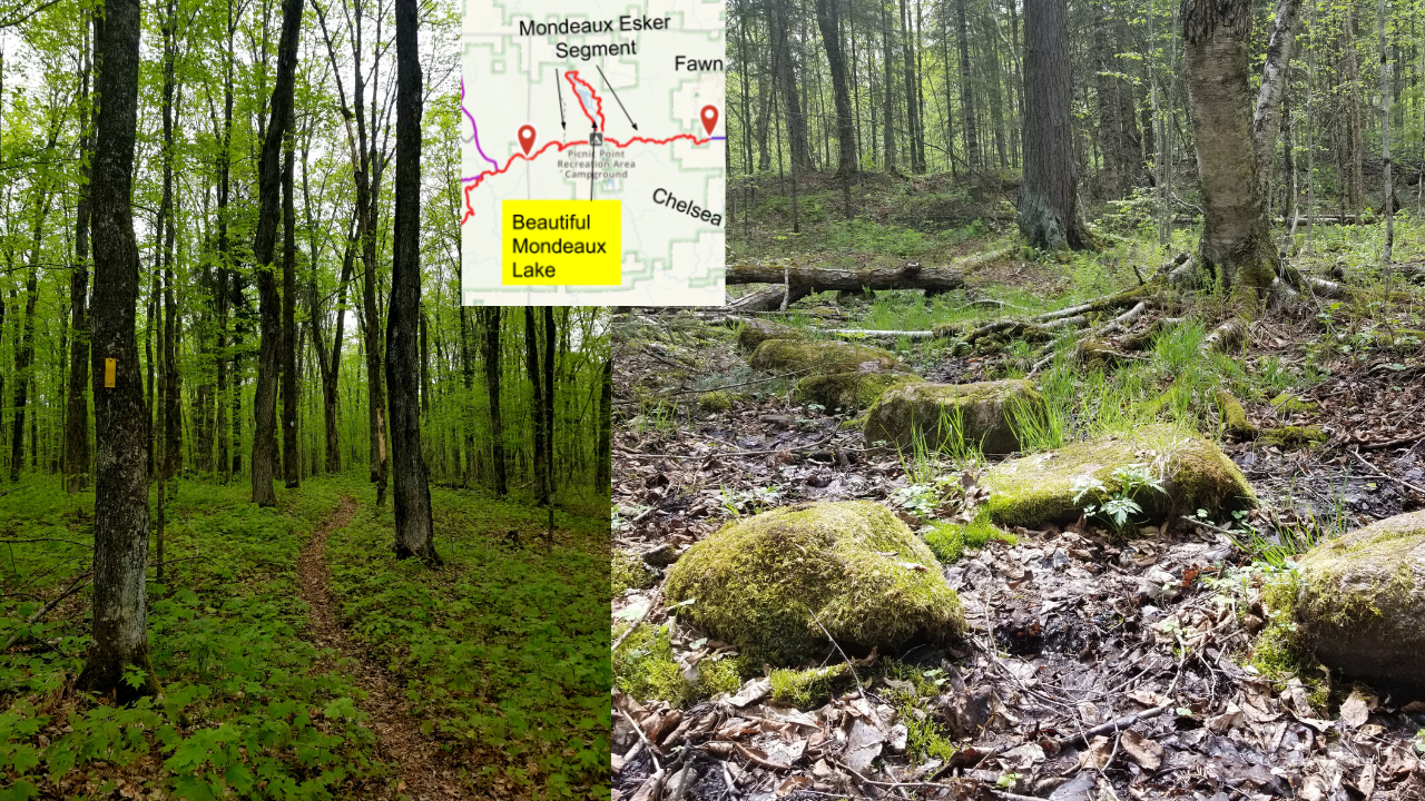 On the race course-excellent video footage of trail