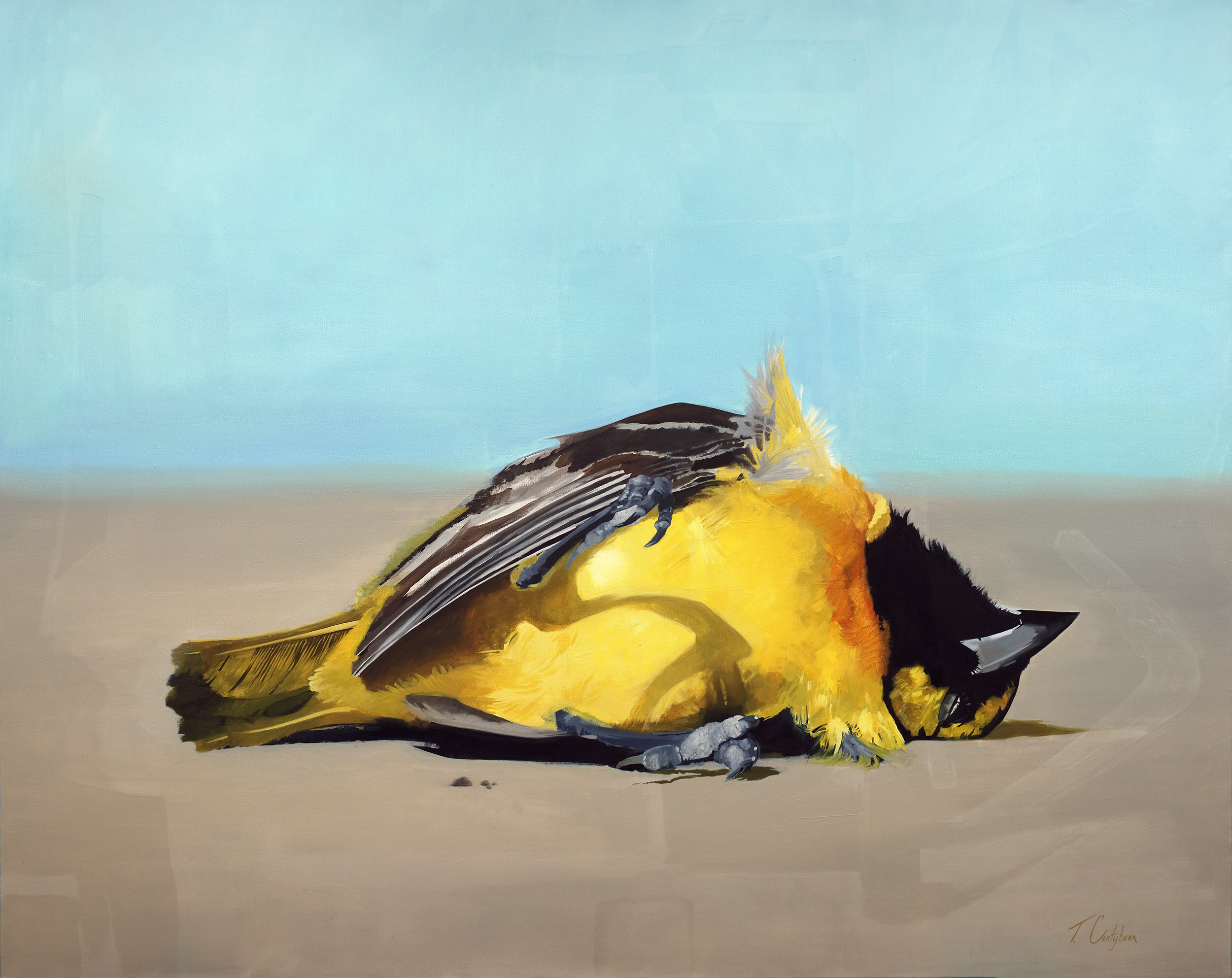  Grounded Goldfinch  2016 Oil on canvas 45x60 inches 