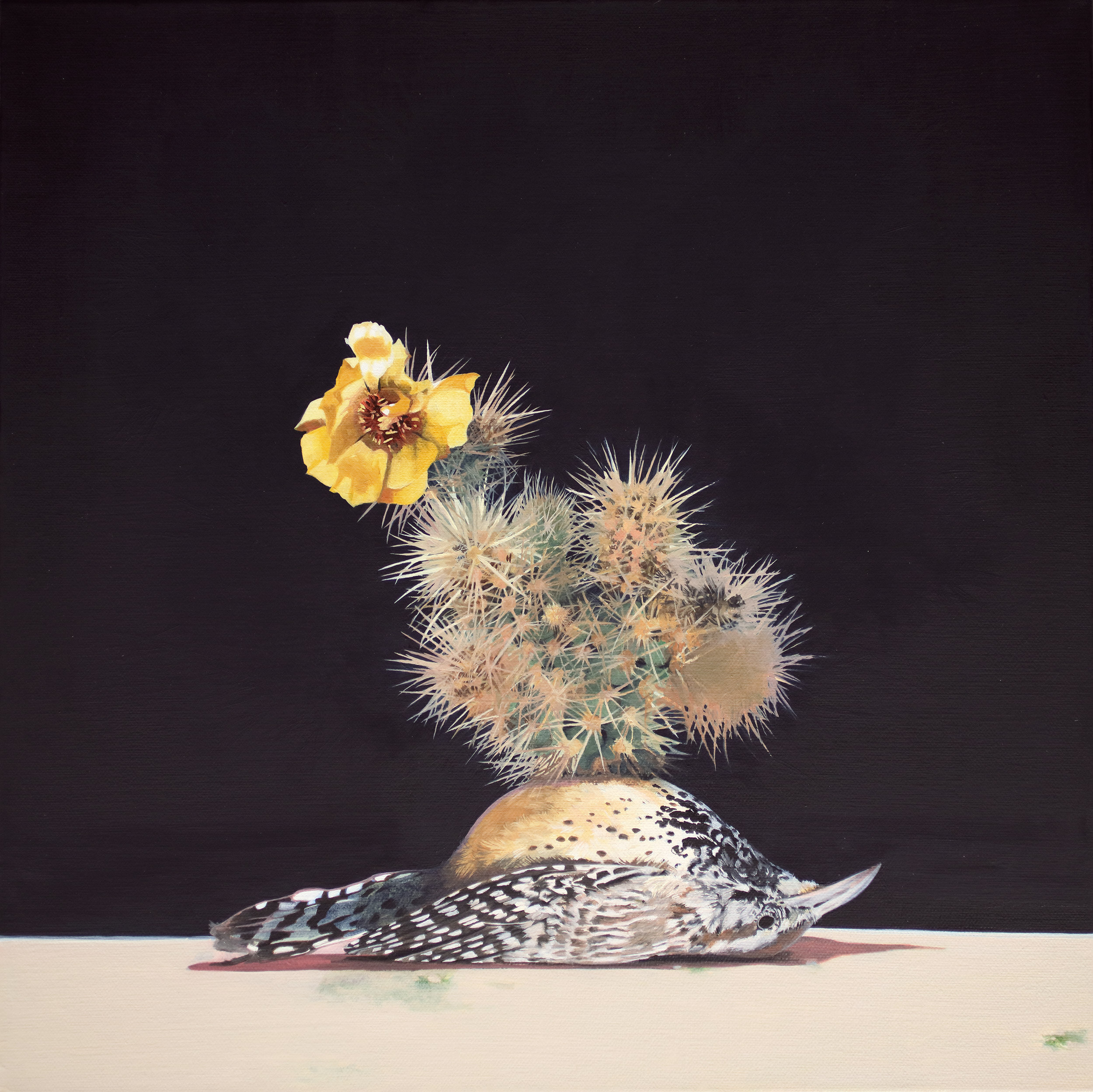   Grounded Cactus Wren  2019 Oil on canvas 18x18 inches 
