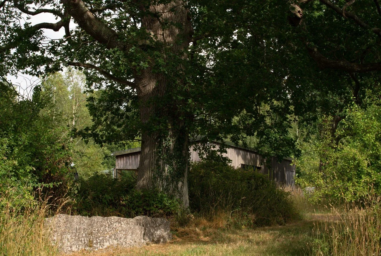 Nature restoration growing in West of England