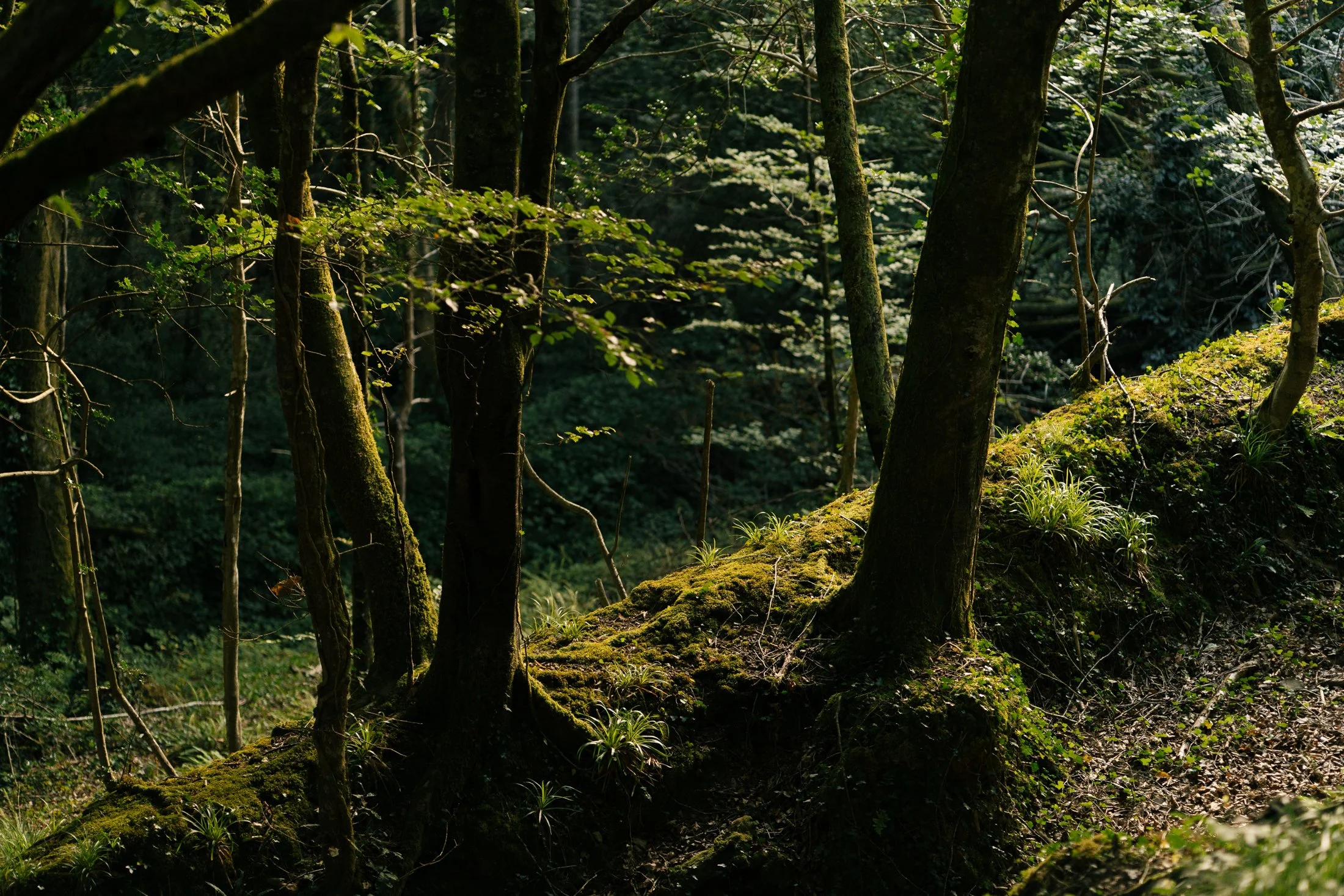 AnotherCountry_SamScales_WEB-3.jpg