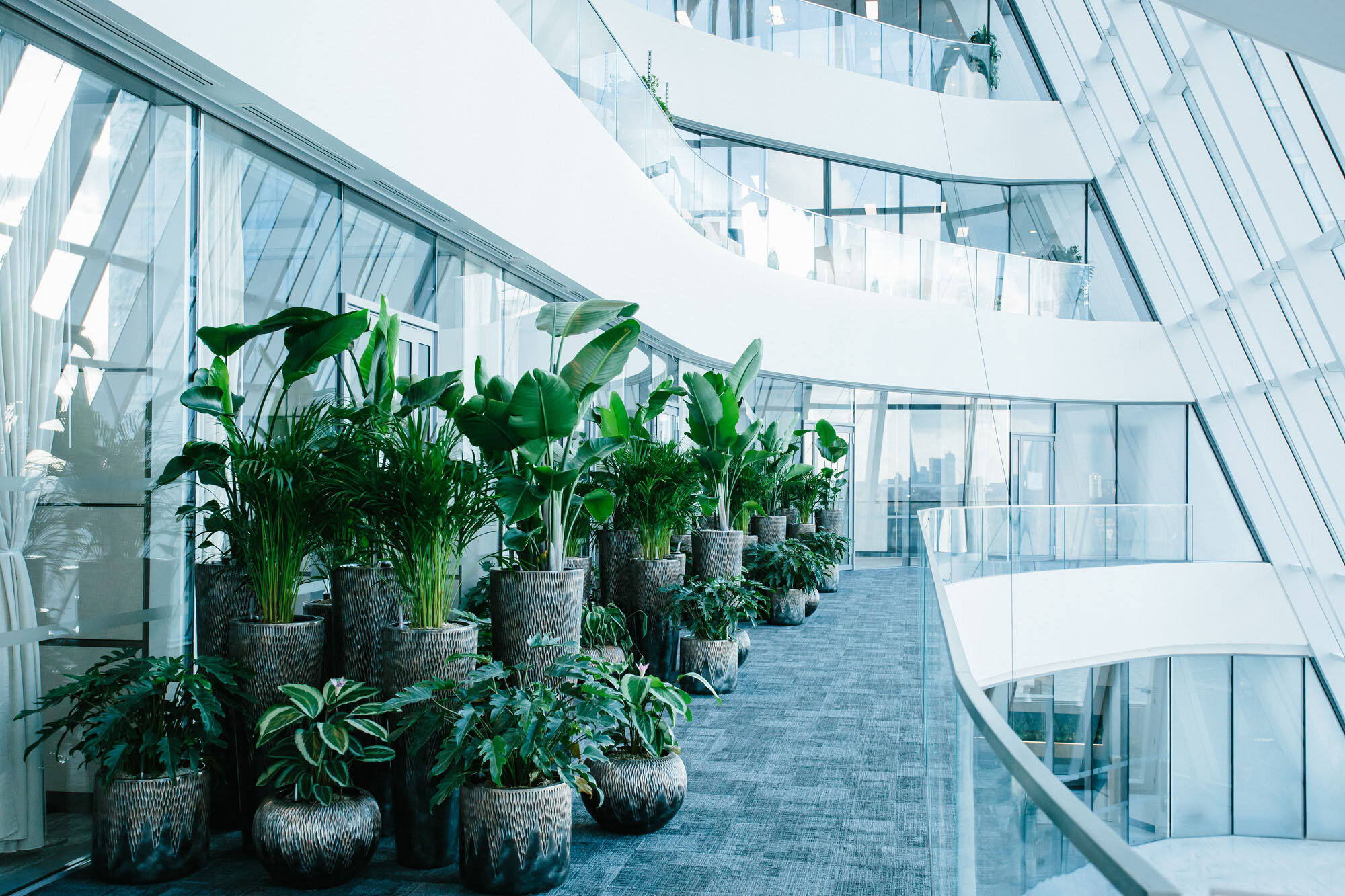 PLANTEDCITIES_PLANTDESIGNS_25.jpg