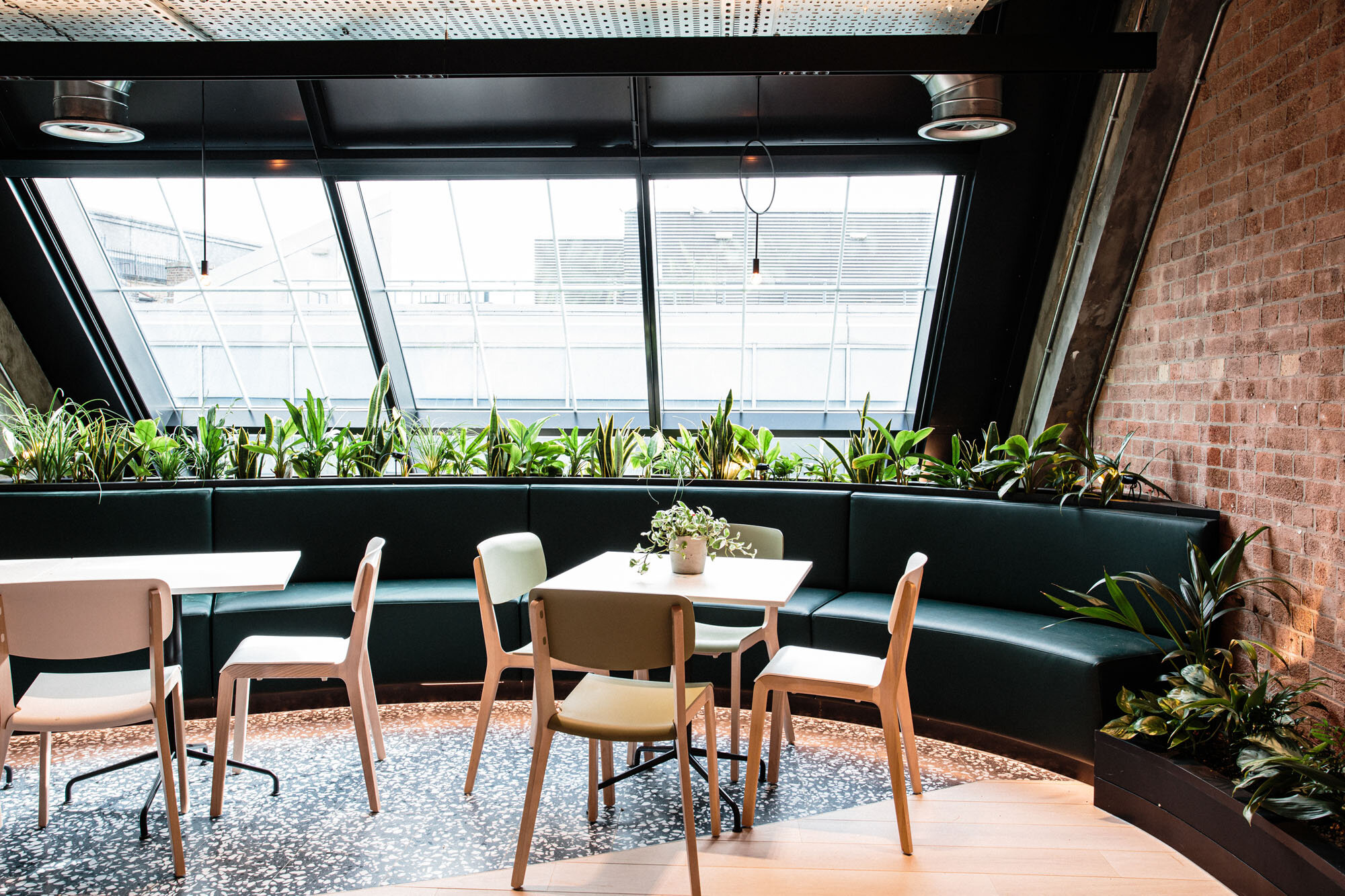 PLANTEDCITIES_PLANTDESIGNS_12.jpg