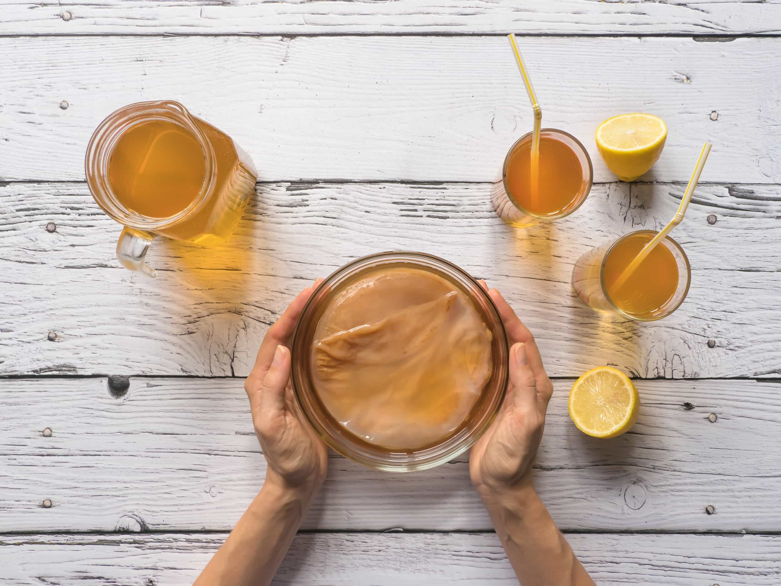 Equinox organic kombucha 3