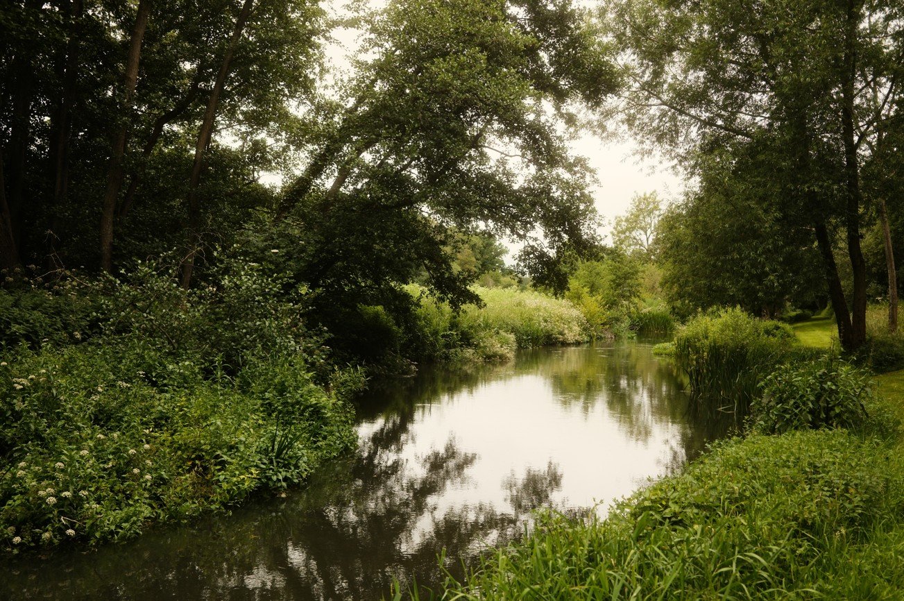 Rivers Day Event low res (3).jpg