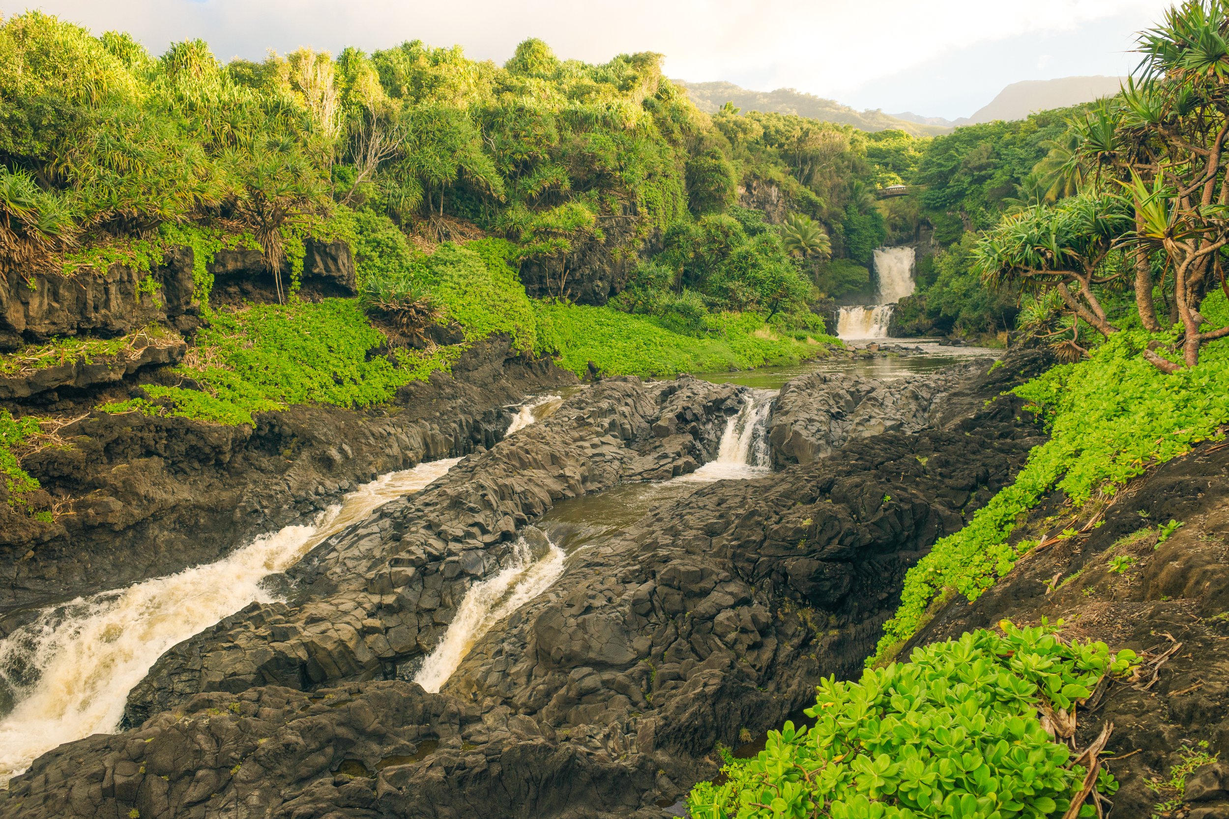 Tropical lush green landscape with waterfalls, rocky riverbed, and dense vegetation in Hawaii.