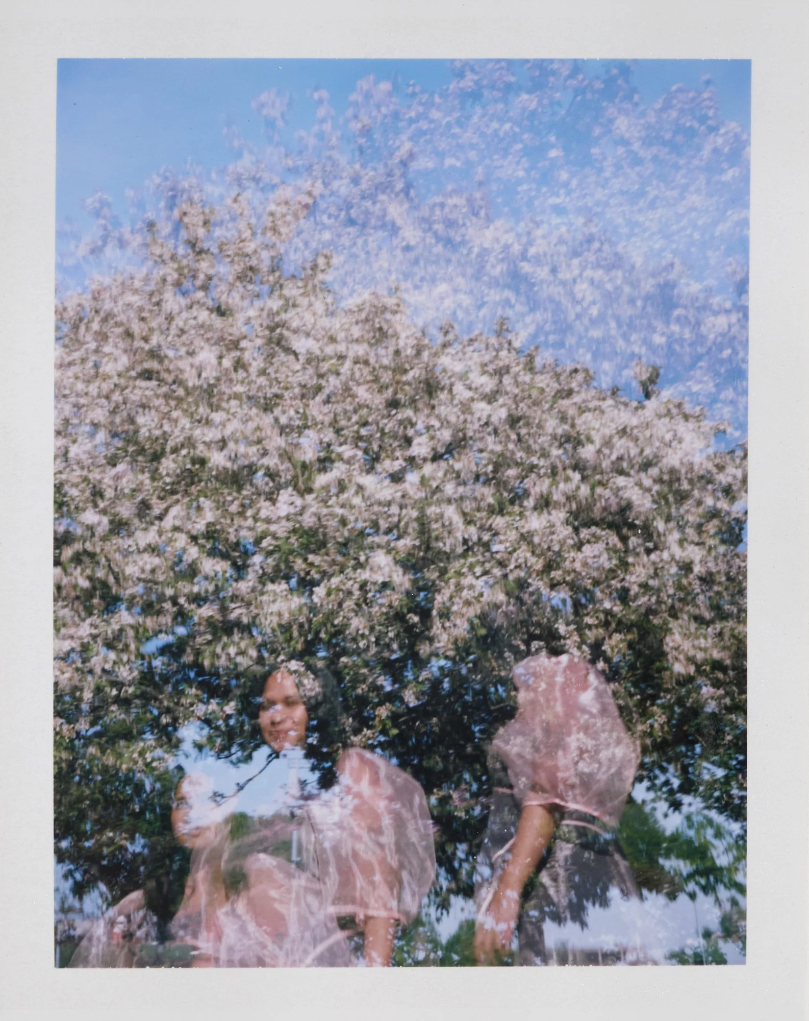 studio visits: Xenia Viray imagination healer + writer