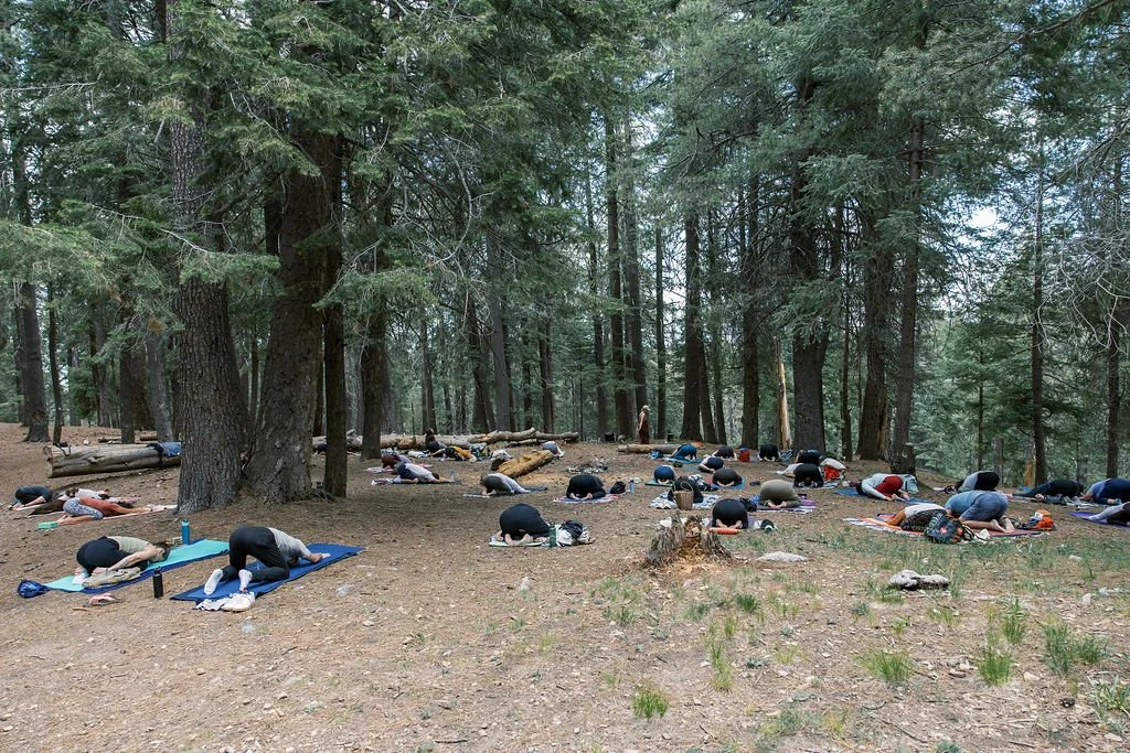 LBurbidgeOutThereYoga05242600118.jpg