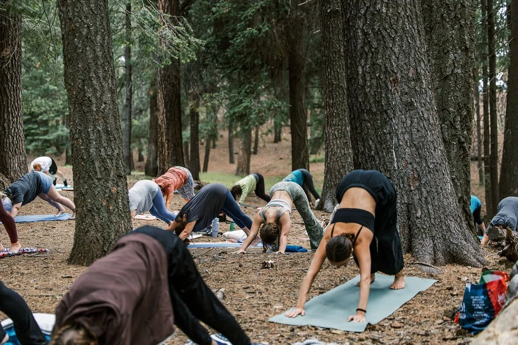 LBurbidgeOutThereYoga05242600080.jpg
