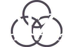 DIZI strategies