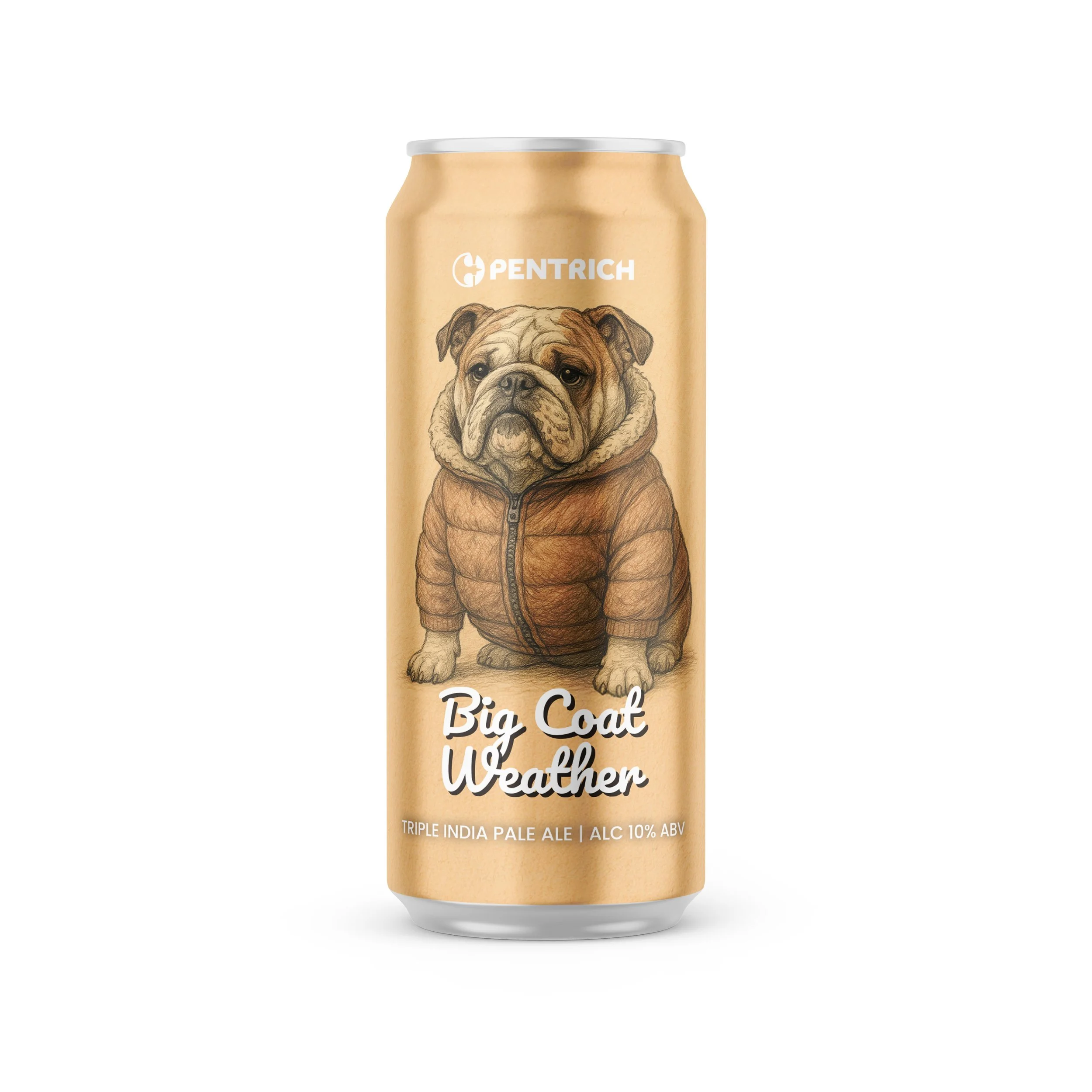PEN6070_BigCoatWeather_Can_Mock-up_compressed.jpg