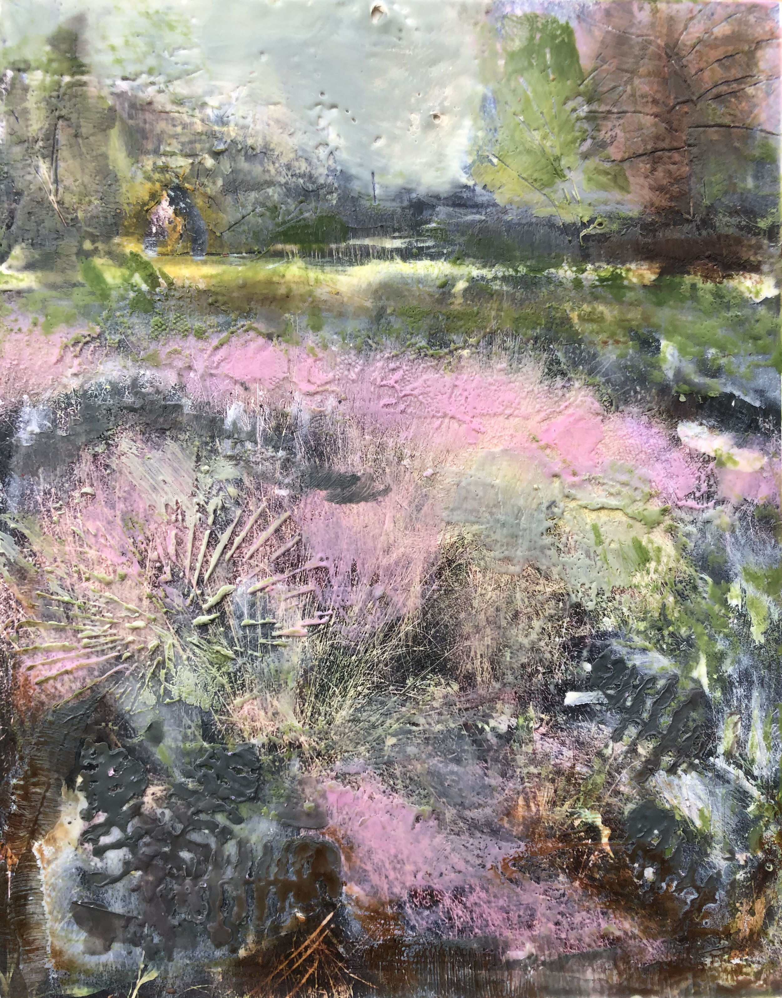 Pink Muhly Grass, 2018