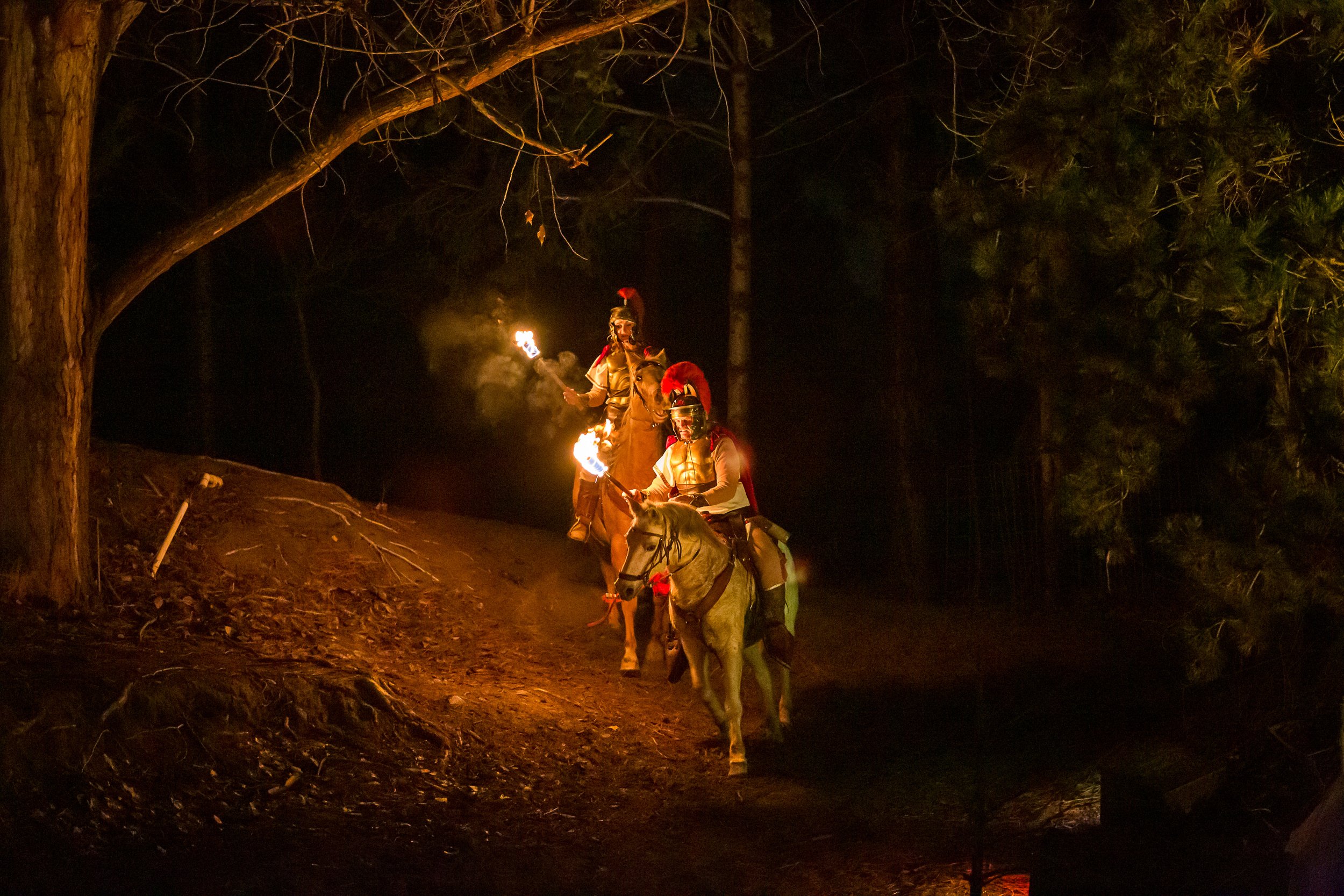 Nativity 23-9434.jpg
